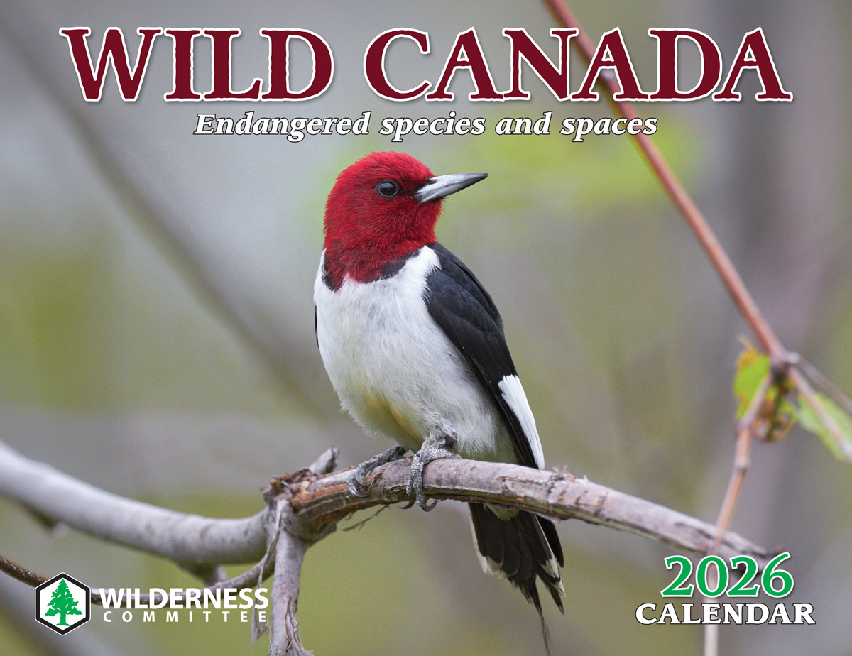 Go to the Wilderness Committee online store