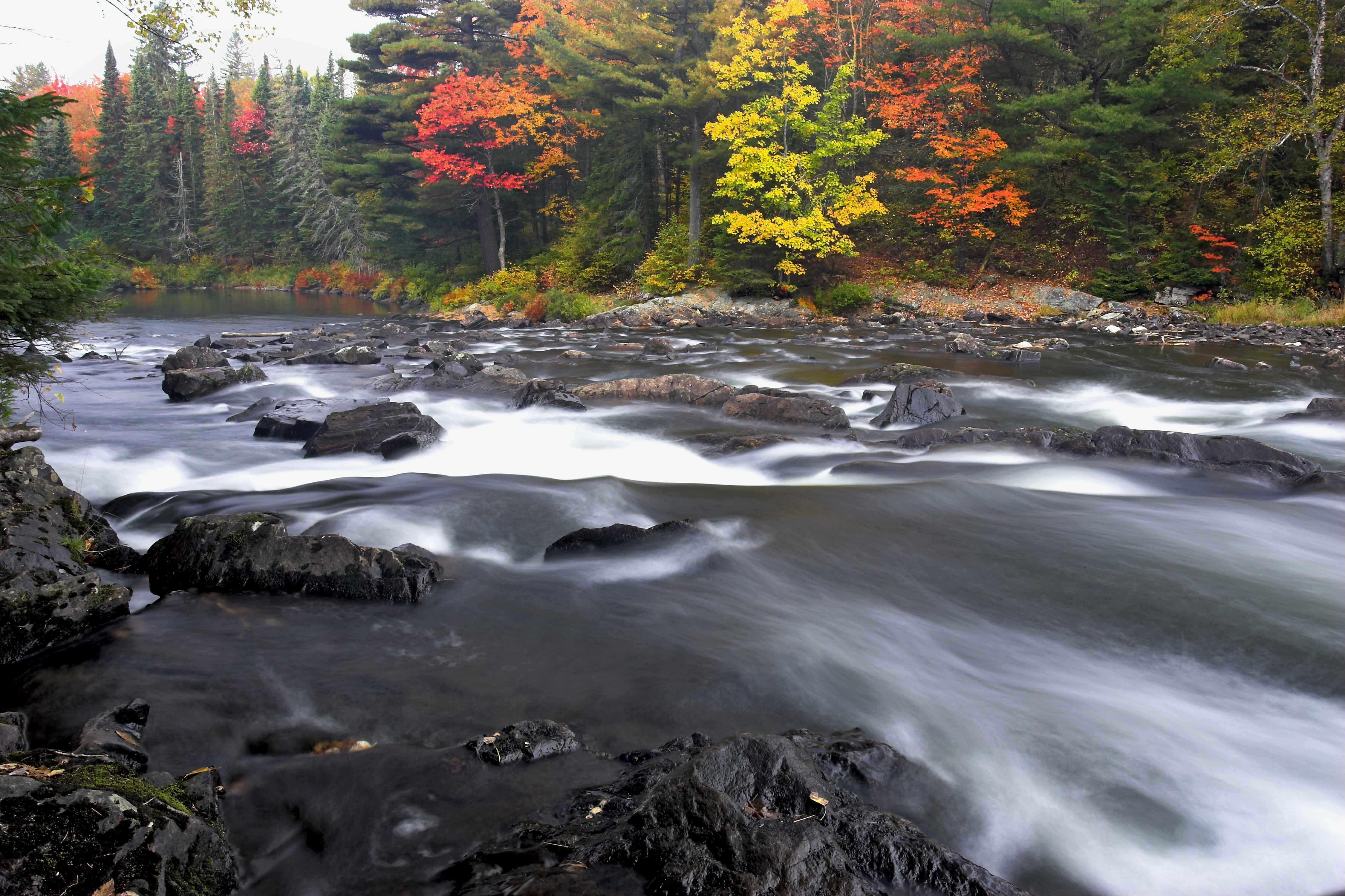 A river flows over slick black stone through a forest that is brightly colored with vibrant reds and yellows.