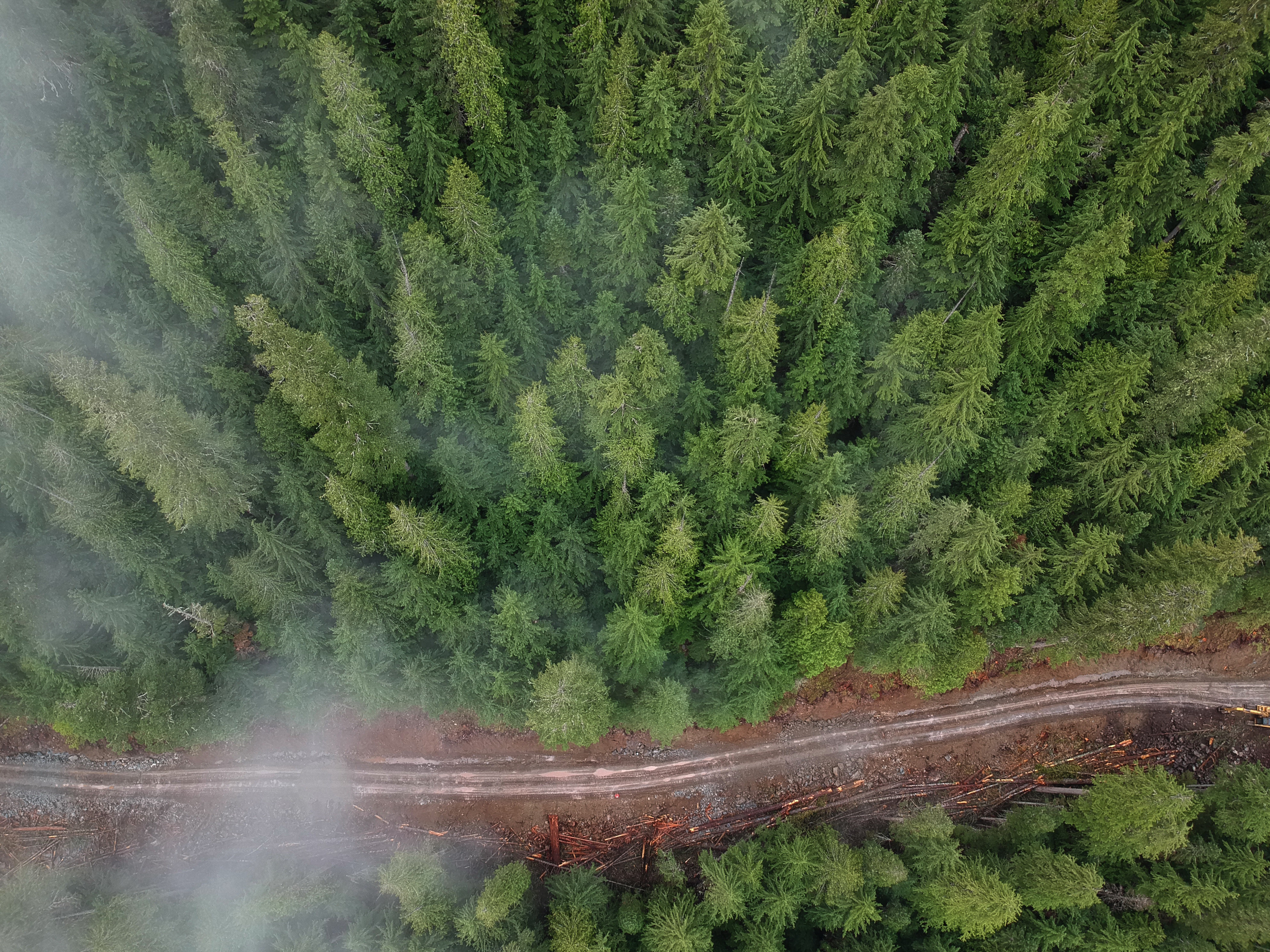 A thin concrete road cuts horizontally through the thick coniferous forest in Spuzzum Valley