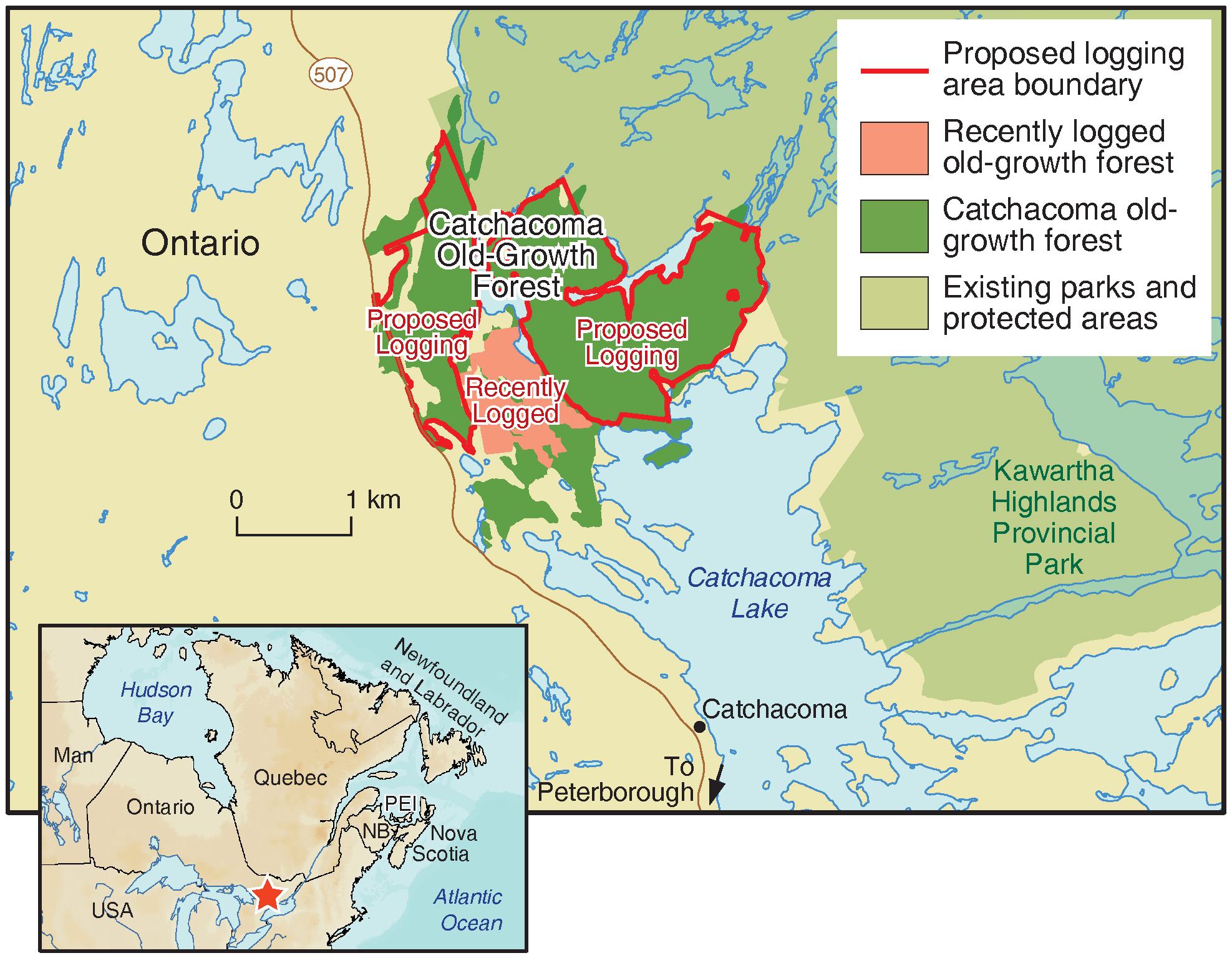 Catchacoma Old Growth Map