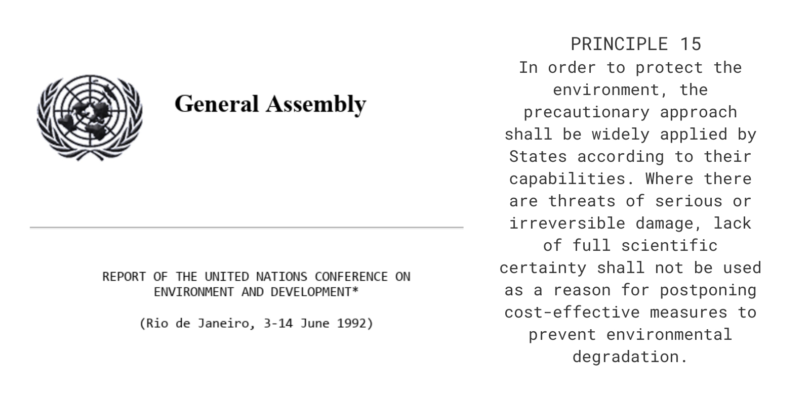  REPORT OF THE UNITED NATIONS CONFERENCE ON    ENVIRONMENT AND DEVELOPMENT*  (Rio de Janeiro, 3-14 June 1992)  Principle 15    In order to protect the environment, the precautionary approach shall be widely applied by States according to their capabilities.  Where there are threats of serious or irreversible damage, lack of full scientific certainty shall not be used as a reason for postponing cost-effective measures to prevent environmental degradation.