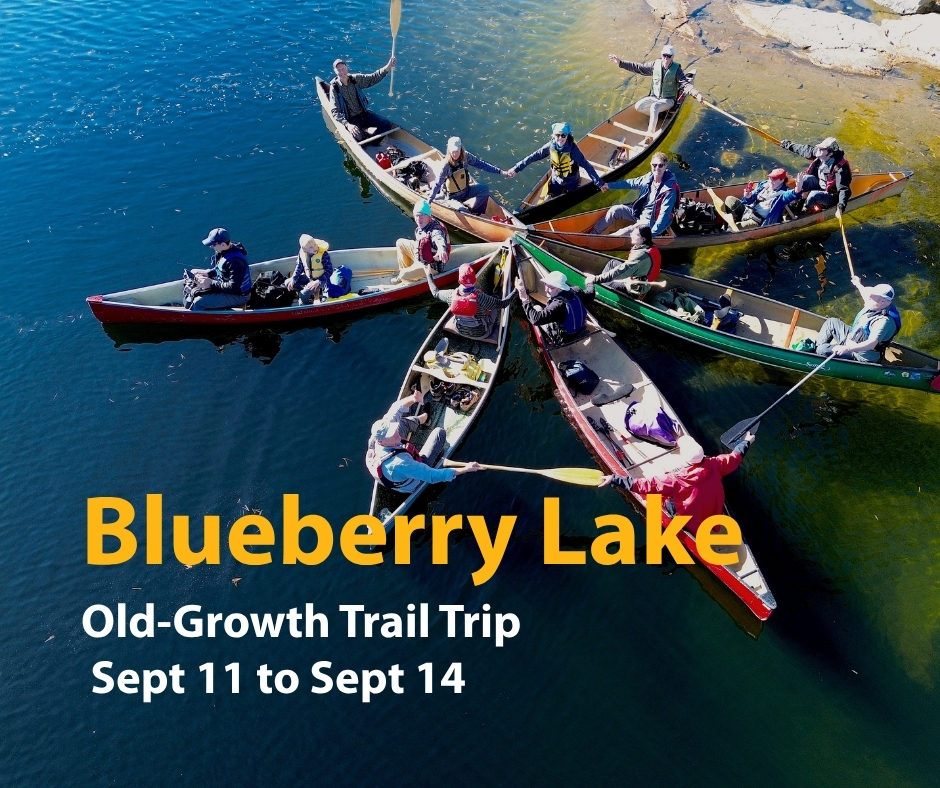 A colorful pinwheel of canoes full of smiling people on a dark, shining lake.
