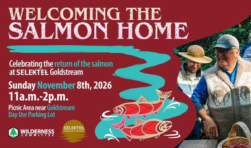 A photo of Elder ZȺWIZUT Carl Olsen surrounded by supporters. There us a graphic of two salmon fishes swimming in the river, with logos of the Wilderness Committee and SELE₭TEȽ Goldstream Protectors. Text on the image says "Welcome the salmon home. Celebrating the return of the salmon at SELE₭TEȽ Goldstream. Sunday, November 8th, 2026. 11 - 2 p.m. Picnic area near Goldstream day use parking lot." End of image description.