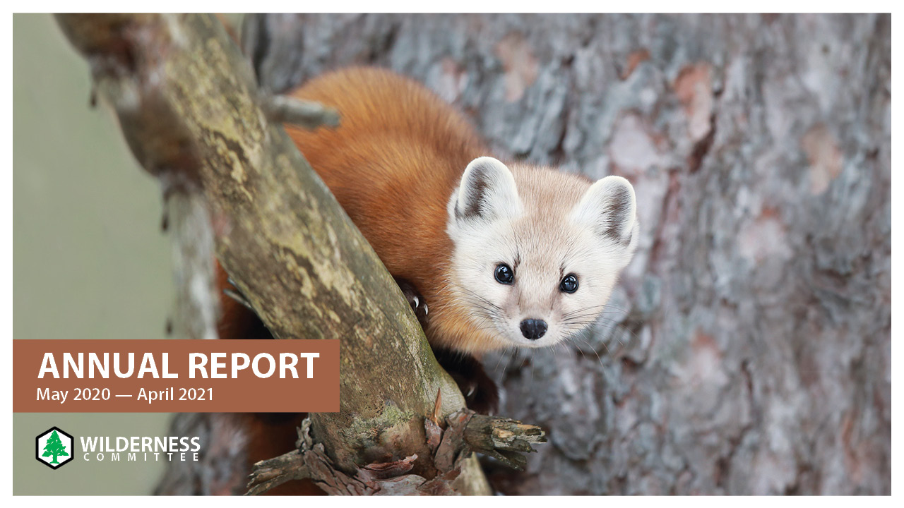 We are the Wilderness Committee Wilderness Committee