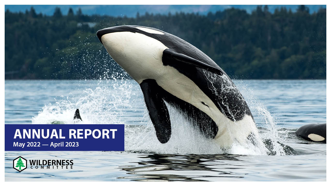 A killer whale jumping out of the water with the text "Annual Report 2023"