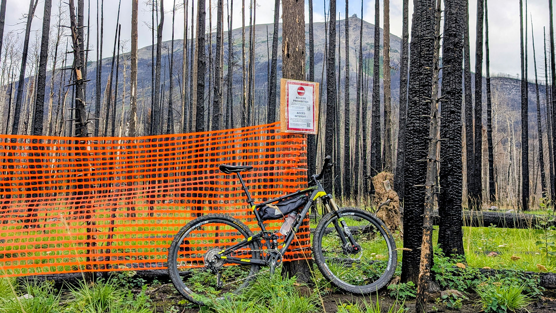 A mountain bike in front of an orange fence and a burnt out forest in Jasper National Park. A sign on one of the trees notes that a trail is closed.