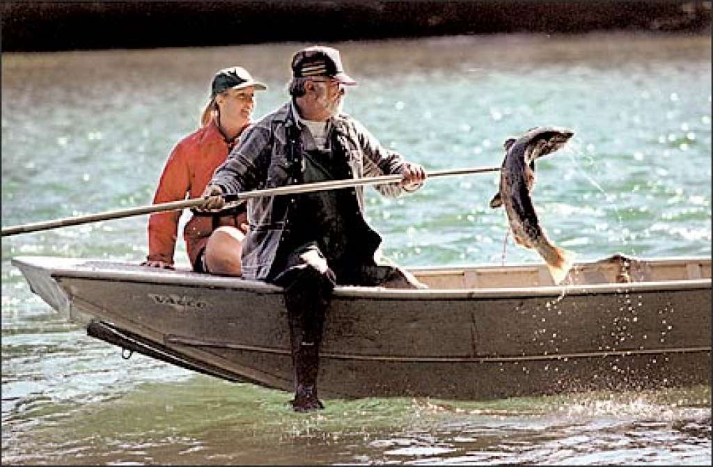 Angela Foster and Jerry LeDent, state Fish and Wildlife technicians, pick up spawned-out fish carcasses from the upper Skagit River near Marblemount. The Skagit River is home to all five species of wild salmon (Seattle Pi).