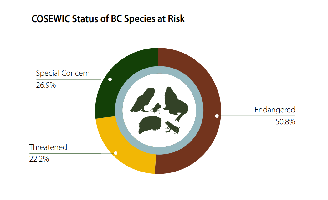 COSEWIC status of BC species at risk