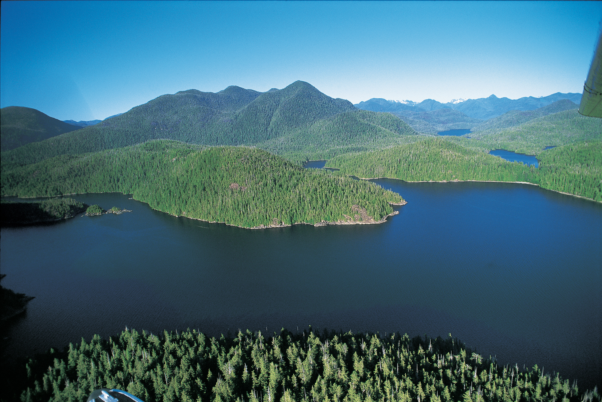 Clayoquot Sound (Jacqueline Windh).