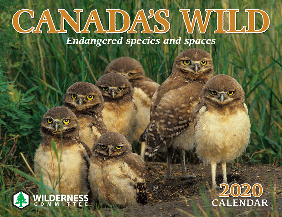 2020 Canada's Wild Calendar cover