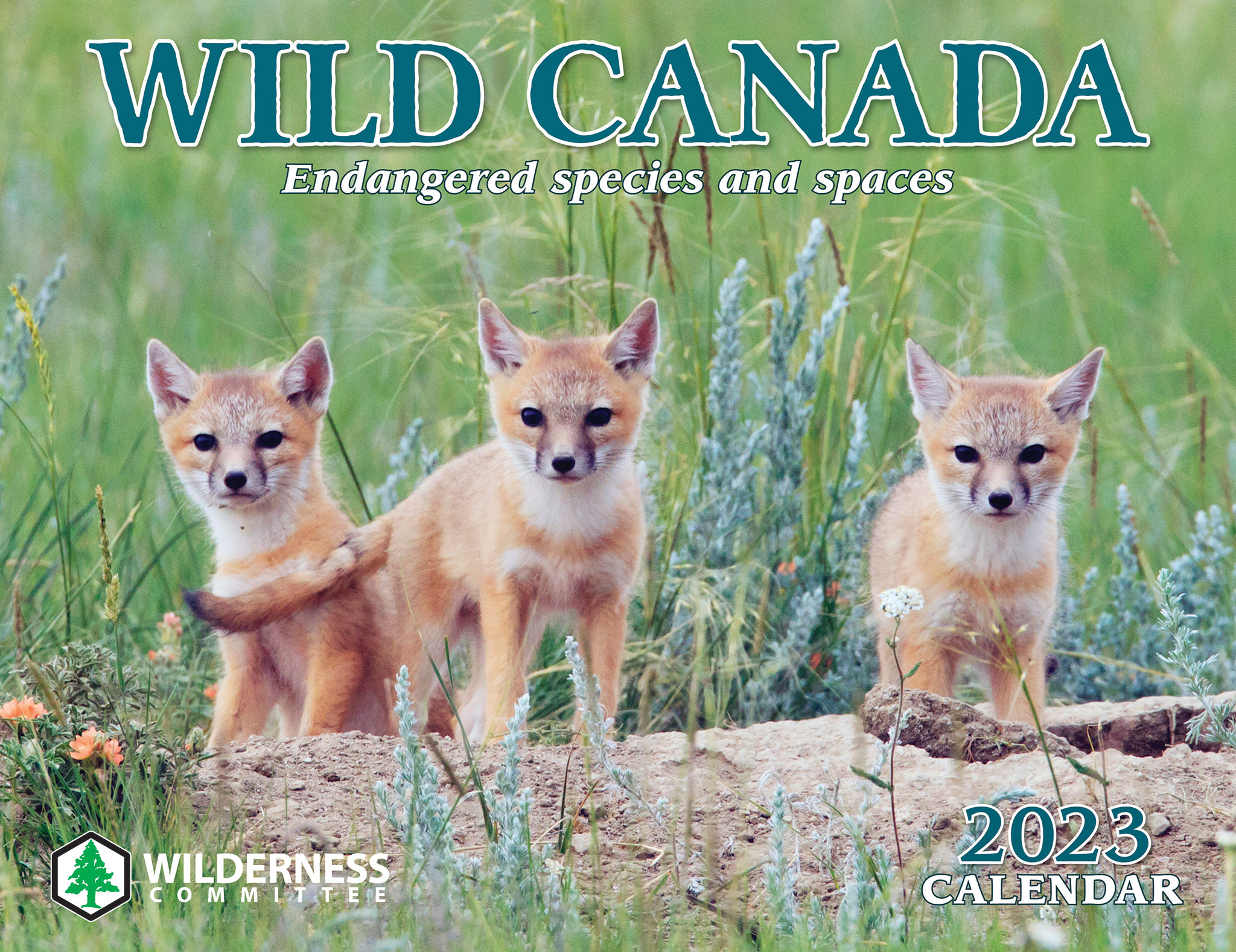 2020 Canada's Wild calendar cover