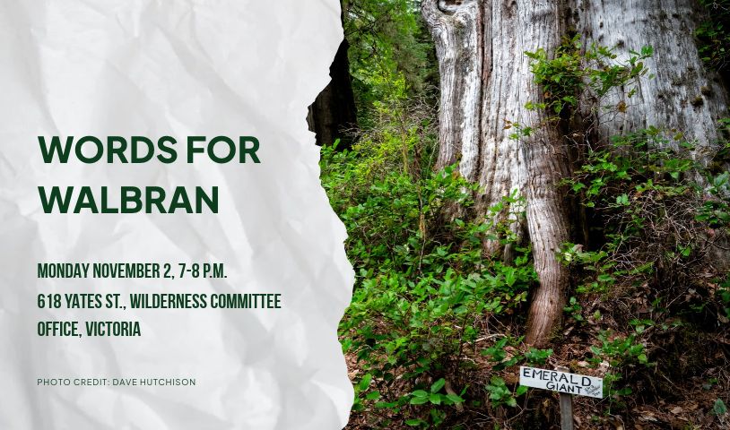 A photo of a giant tree in the Walbran Valley, There is a sign in front of it that says "Emerald Giant." A graphic like ripped paper accompanies it, with text on it that says "Words for Walbran. Monday, November 2, 7-8 P.M. 618 Yates St. Wilderness Committee office, Victoria. Photo credit: Dave Hutchinson." End of image description.