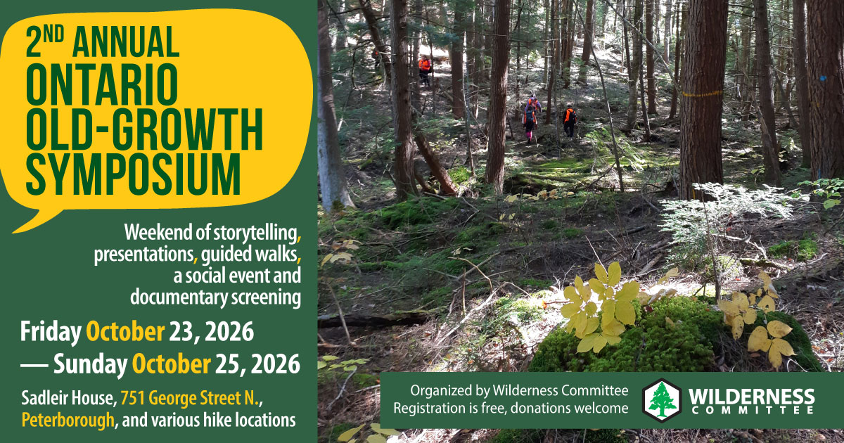 A photo of an old-growth forest. Text on the image says "Ontario old-growth symposium. Weekend of storytelling, presentations, guided walks, a social event and documentary screening. Friday October 23 - Sundary October 25. Sedleir House, 751 George Street N., Peterborough, and various hike locations. Organized by Wilderness Committee. Registration is free, donations welcome." End of image description.