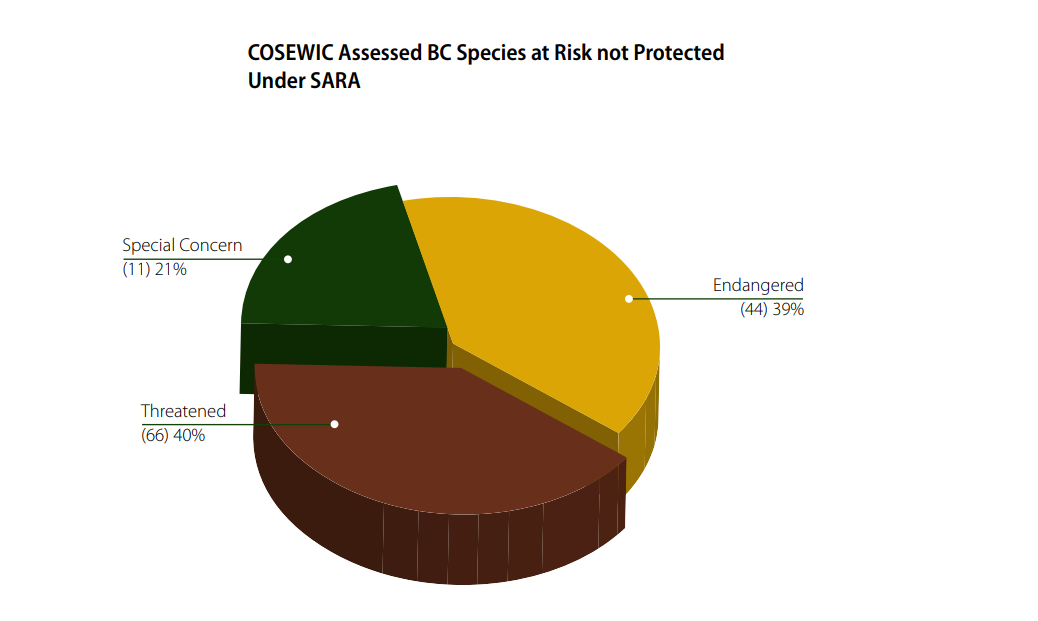 COSEWIC assessed BC species at risk not protected under SARA