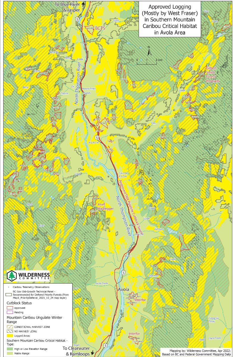 Avola area logging in in southern mountain critical habitat map, April 2022.