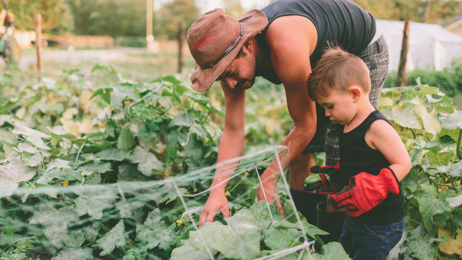 farming