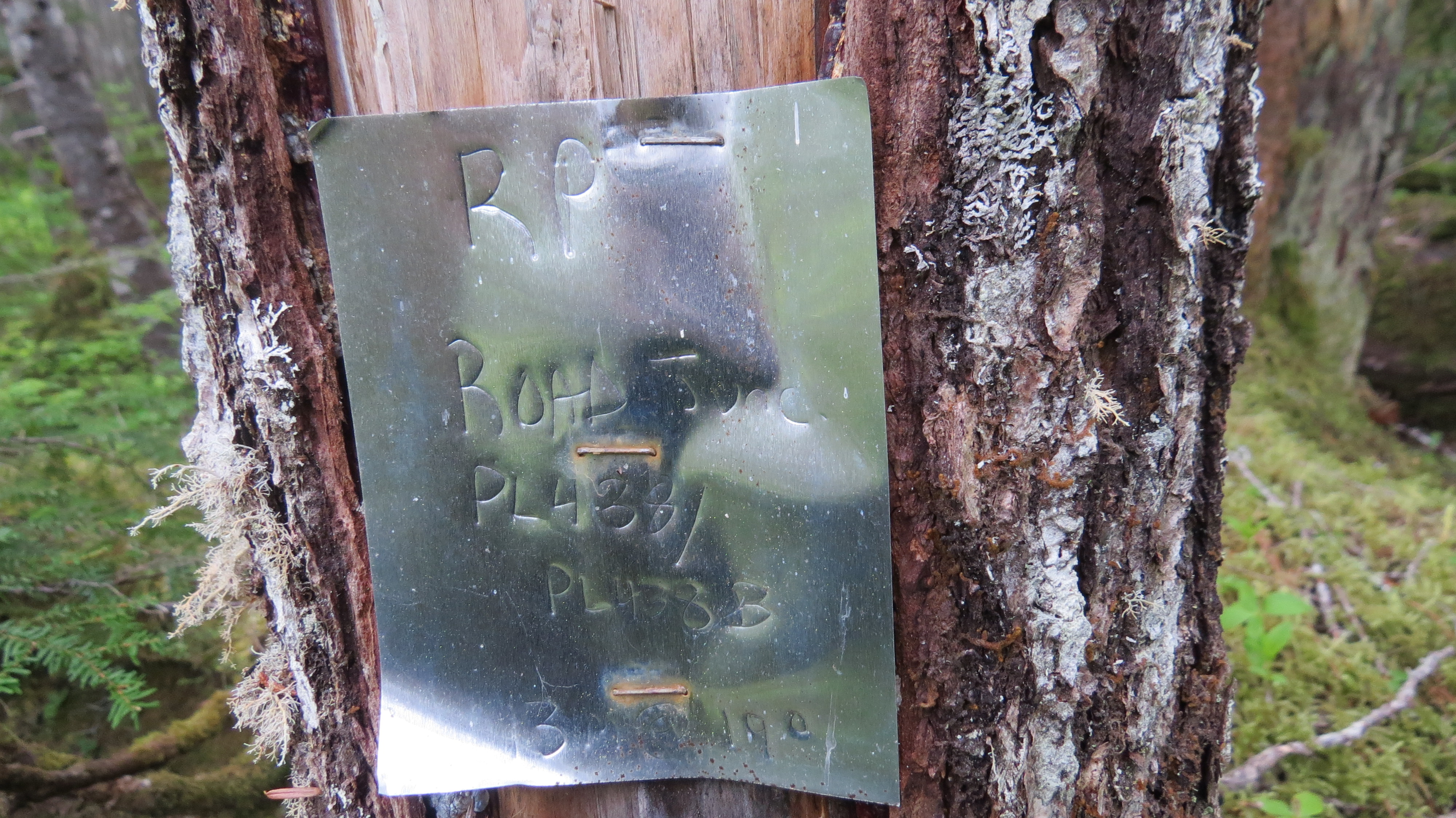 BCTS road marker in Schmidt Creek