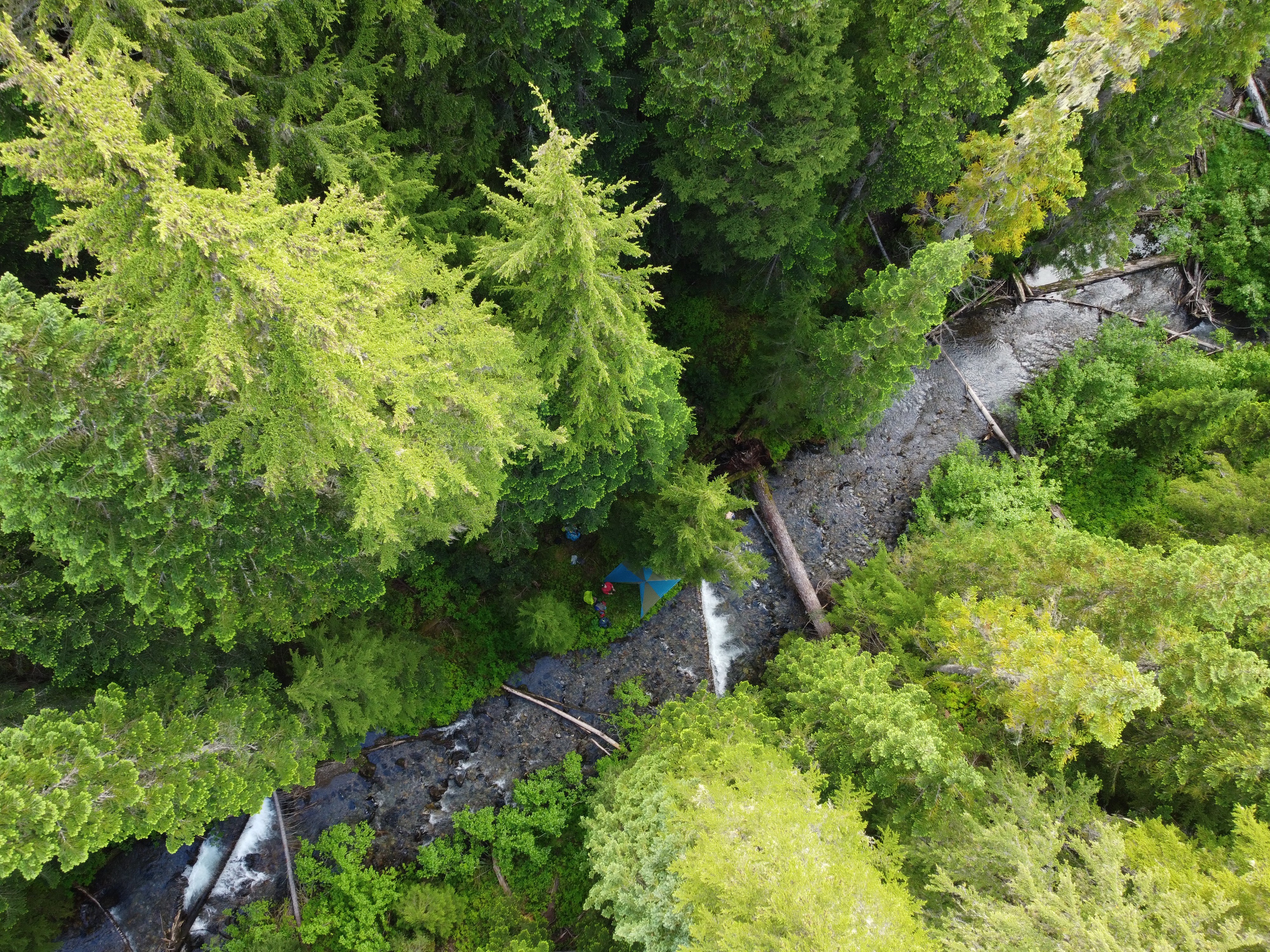 Backpackers camp on the edge of 26 Mile Creek, which is in the Skagit Headwaters Donut Hole between Manning and Skagit provincial parks. 26 Mile Creek flows into the Skagit River. The gravel road leading to the start of the hike into 26 Mile Valley starts at Cayuse Flats in Manning Provincial Park. This site is within a mineral claim held by Imperial Metals. Photo credit: Wilderness Committee