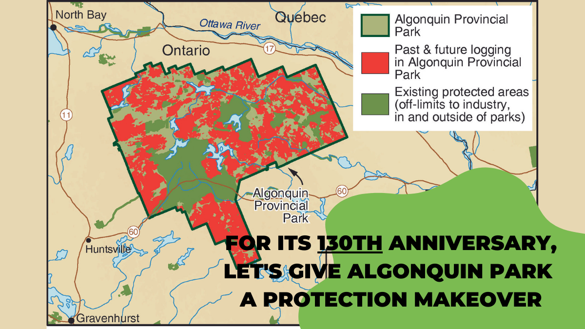 map of Algonquin logging