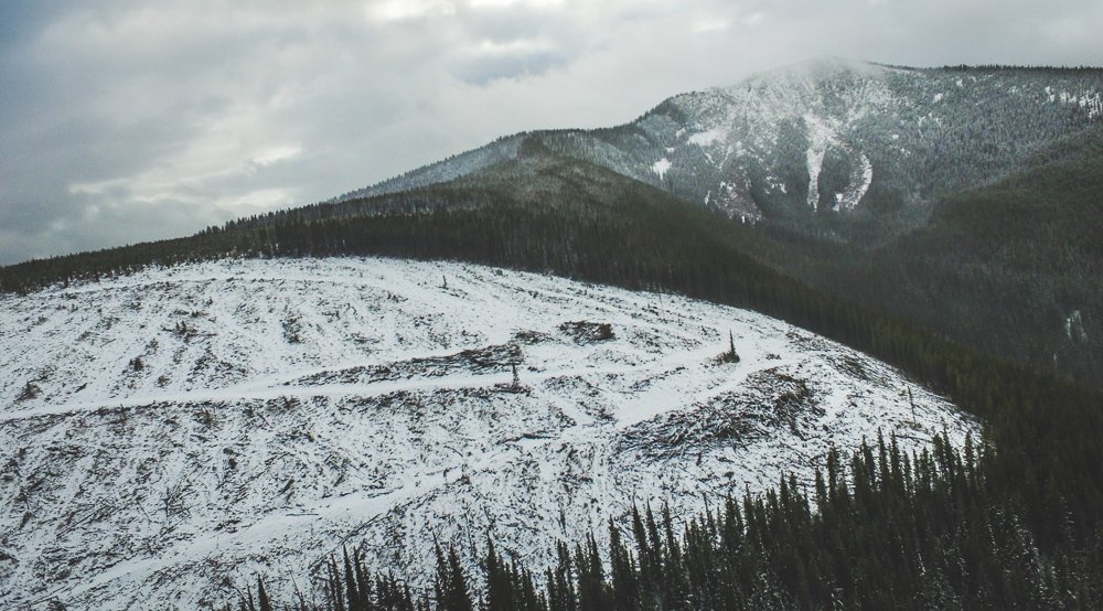 Logged Cutblock West Leppard 748 - Forest Licence A20213 - Salmo Creston next to Core Caribou Habitat (WC files).