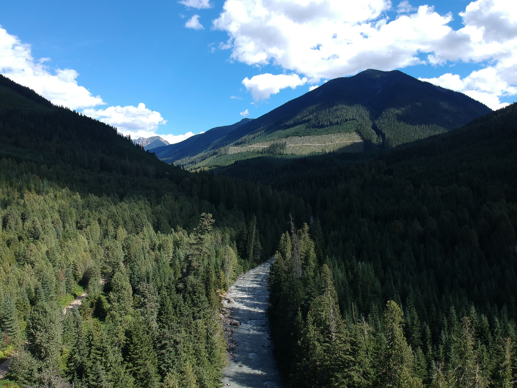 Logging in Argonaut Watershed (Charlotte Dawe).