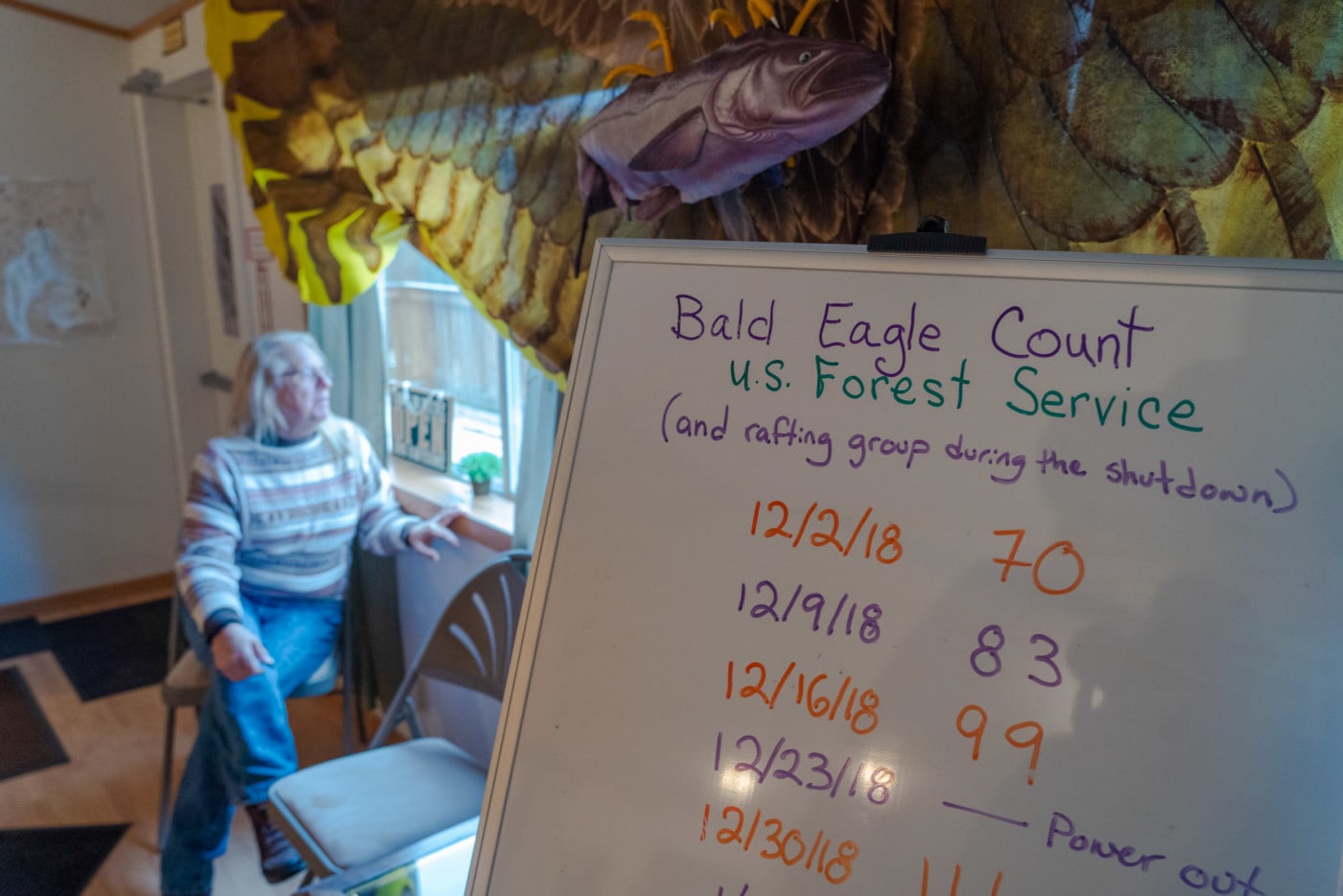 Judy Hemenway, a retired visual artist who coordinates the Skagit Bald Eagle Interpretive Center. Photo: Fernando Lessa / The Narwhal