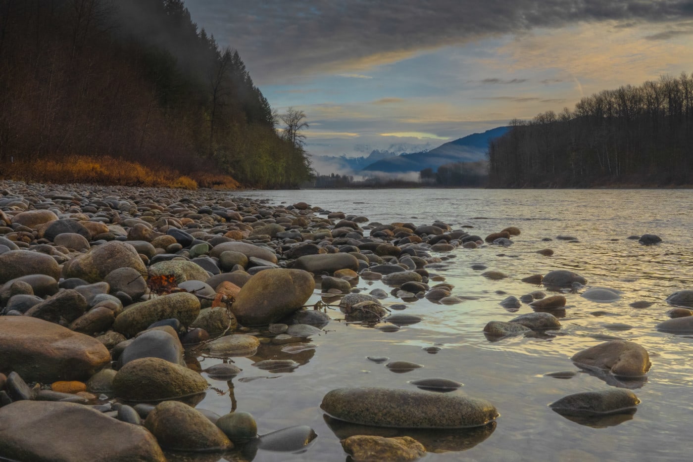 The Skagit River. Photo: Fernando Lessa / The Narwhal