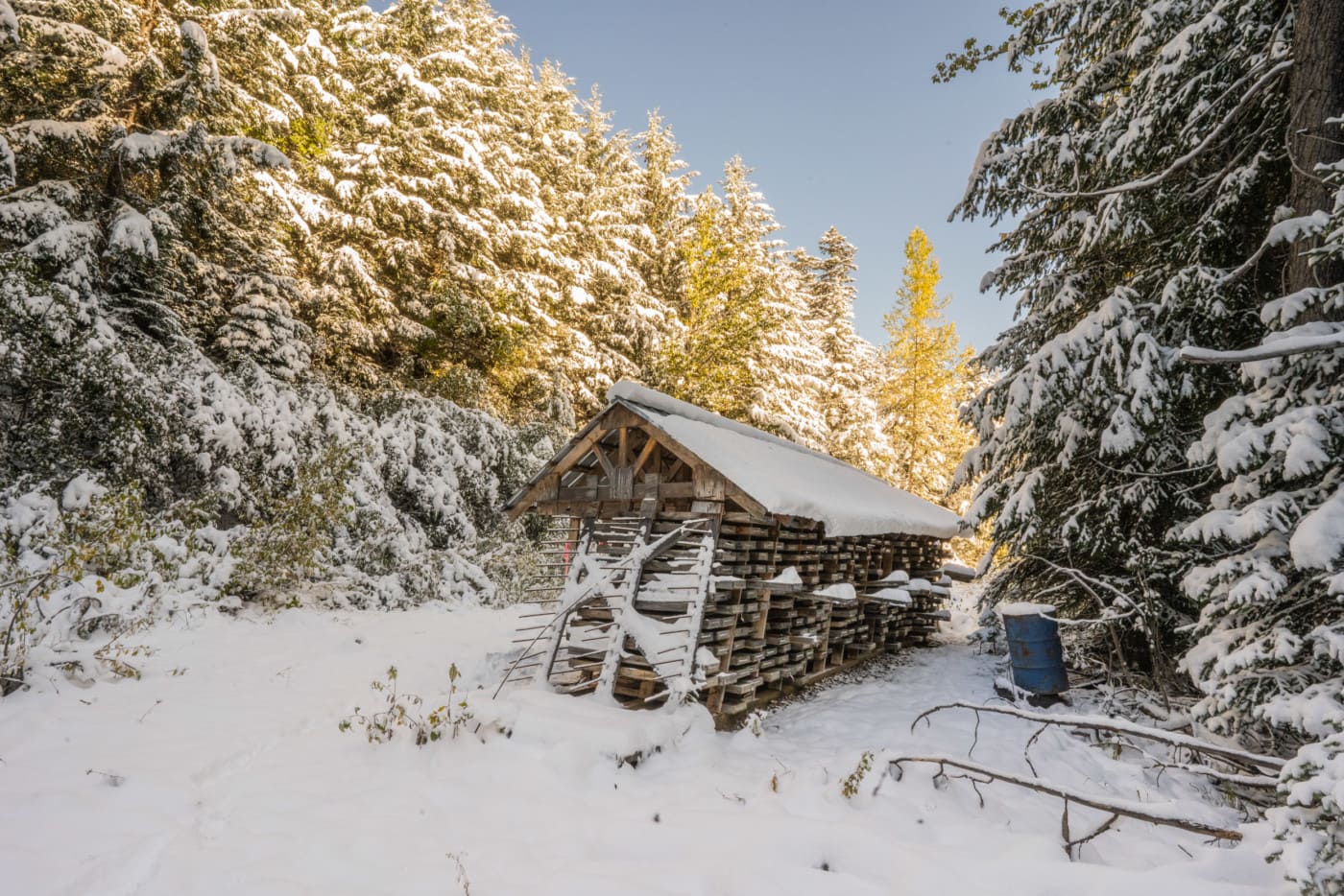 A weathered shack housing multiple drill samples at an abandoned Imperial Metals exploration camp. Photo: Fernando Lessa / The Narwhal