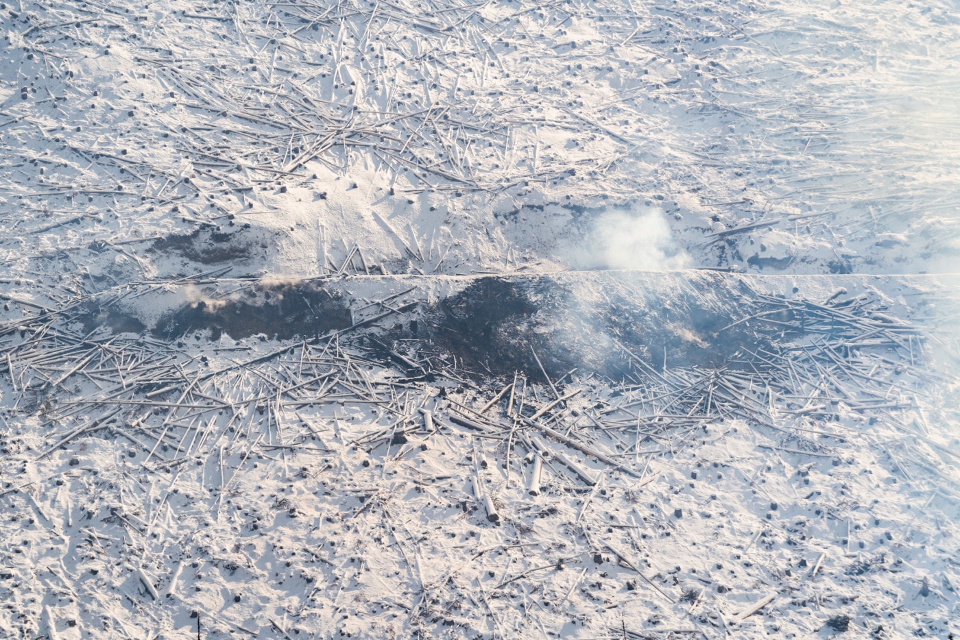 A clearcut on a slope of East Point Mountain. Photo: Fernando Lessa / The Narwhal