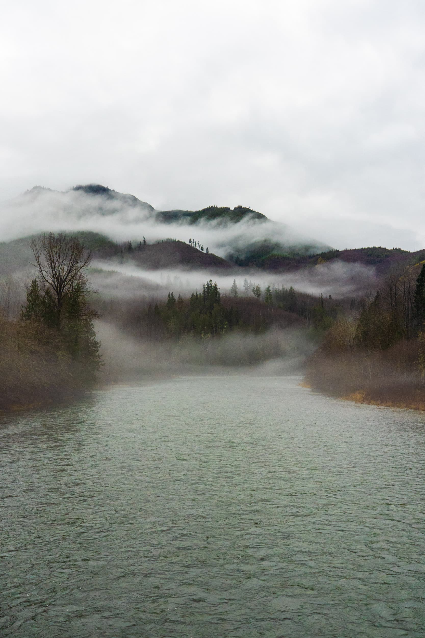 The Skagit River. Photo: Fernando Lessa / The Narwhal