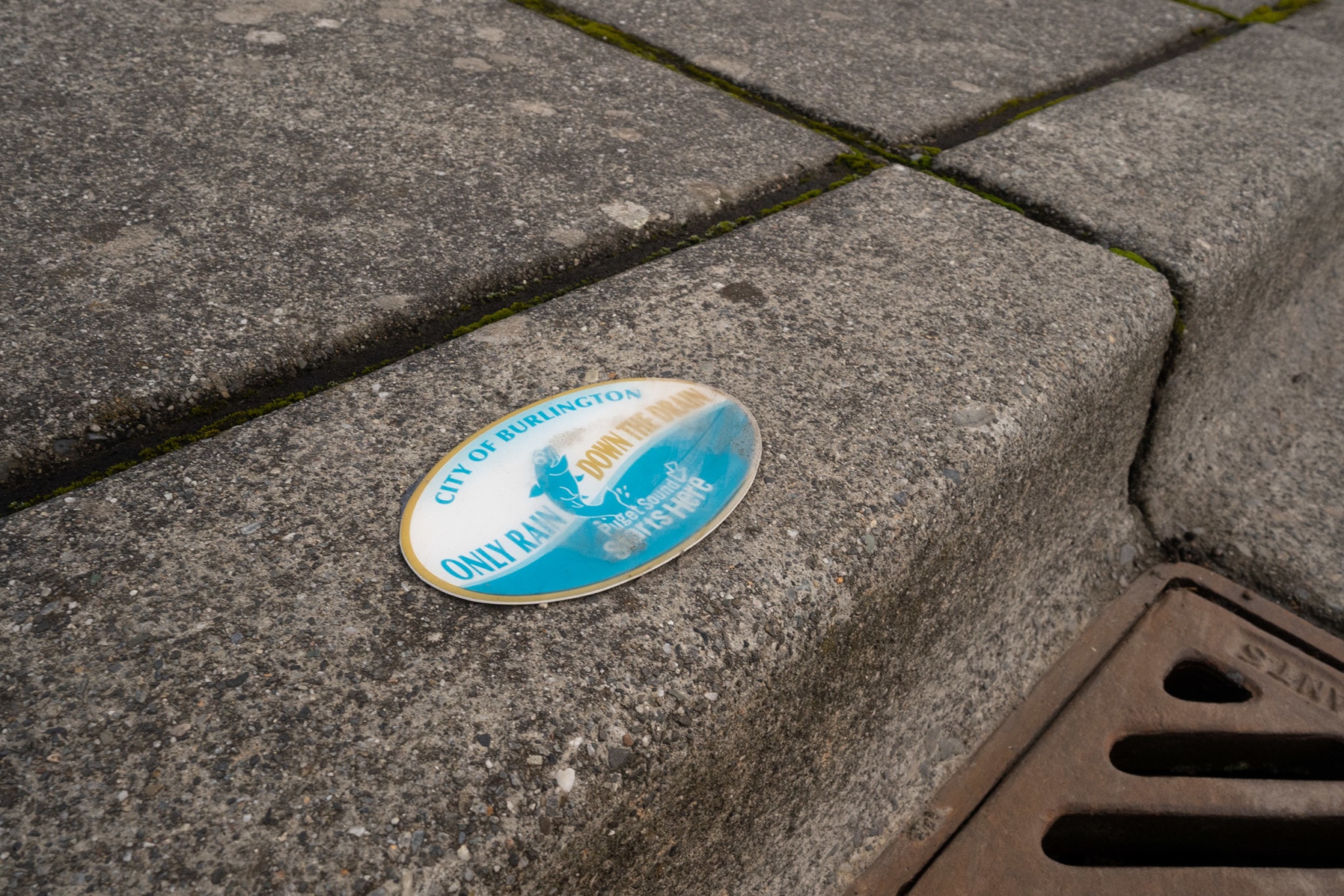 A water drain in Burlington is a reminder of the Skagit River flowing under the city’s concrete infrastructure. Photo: Fernando Lessa / The Narwhal