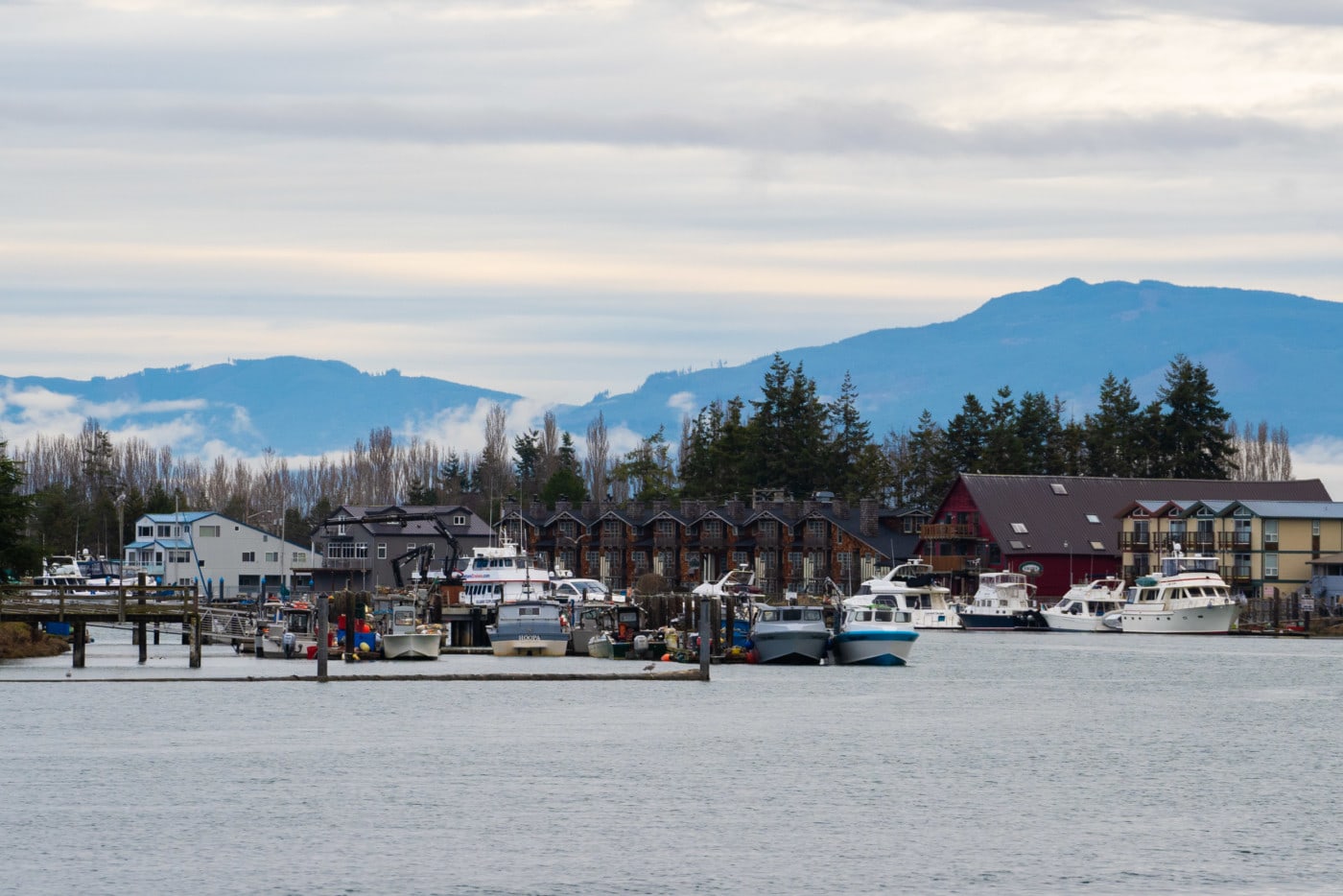 Skagit estuary close to the Swinomish First Nation Reserve. Photo: Fernando Lessa / The Narwhal