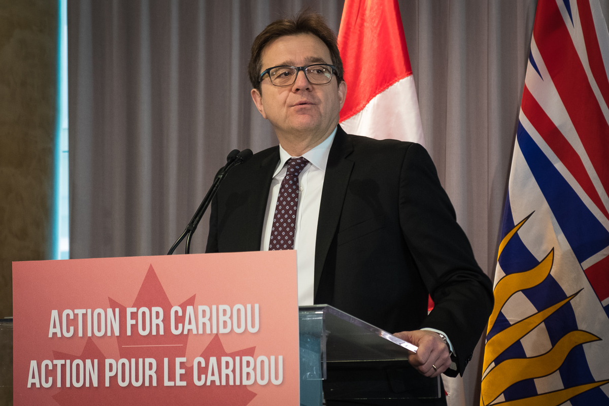 Federal Environment Minister Jonathan Wilkinson speaking at the caribou agreement press conference on February 21, 2020 (WC Files).