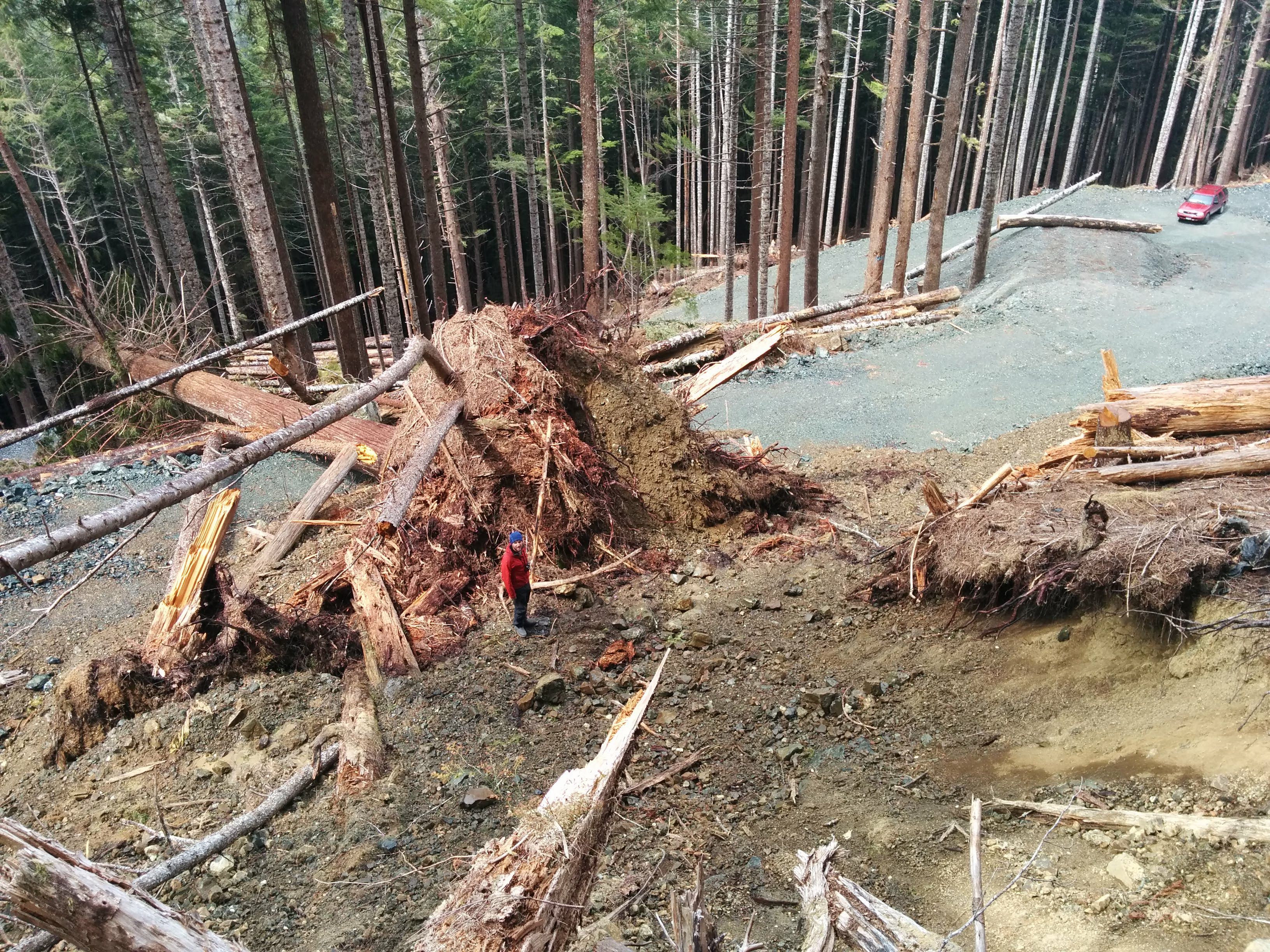 Wilderness Committee Campaigner Torrance Coste checks out logging activity in Schmidt Creek