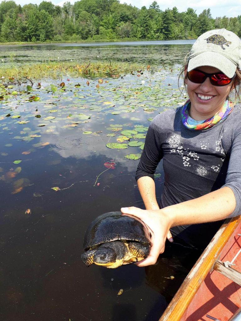 Gabby handling a Blanding's turtle