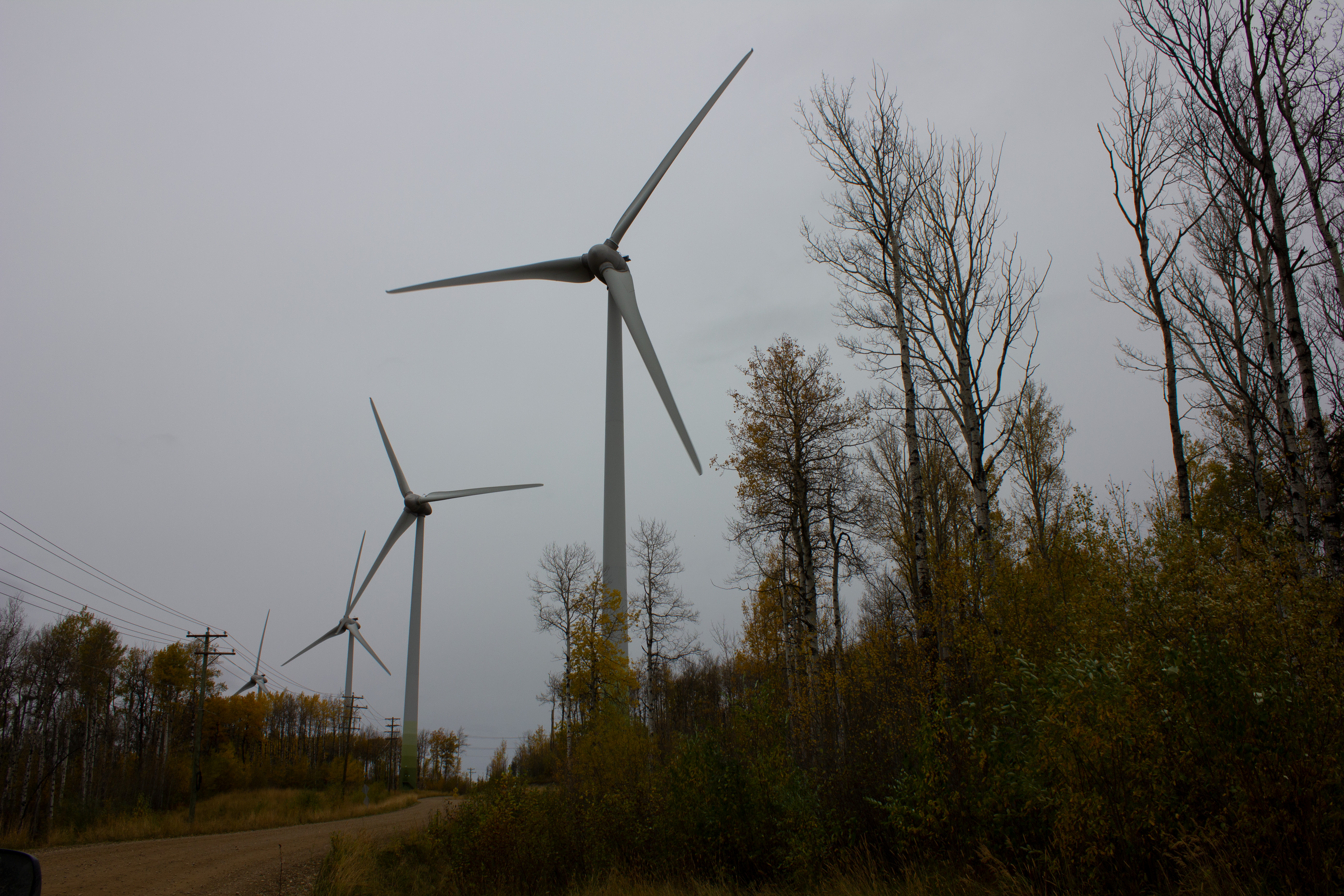 Bear Mountain Wind Park near Groundbirch, B.C.