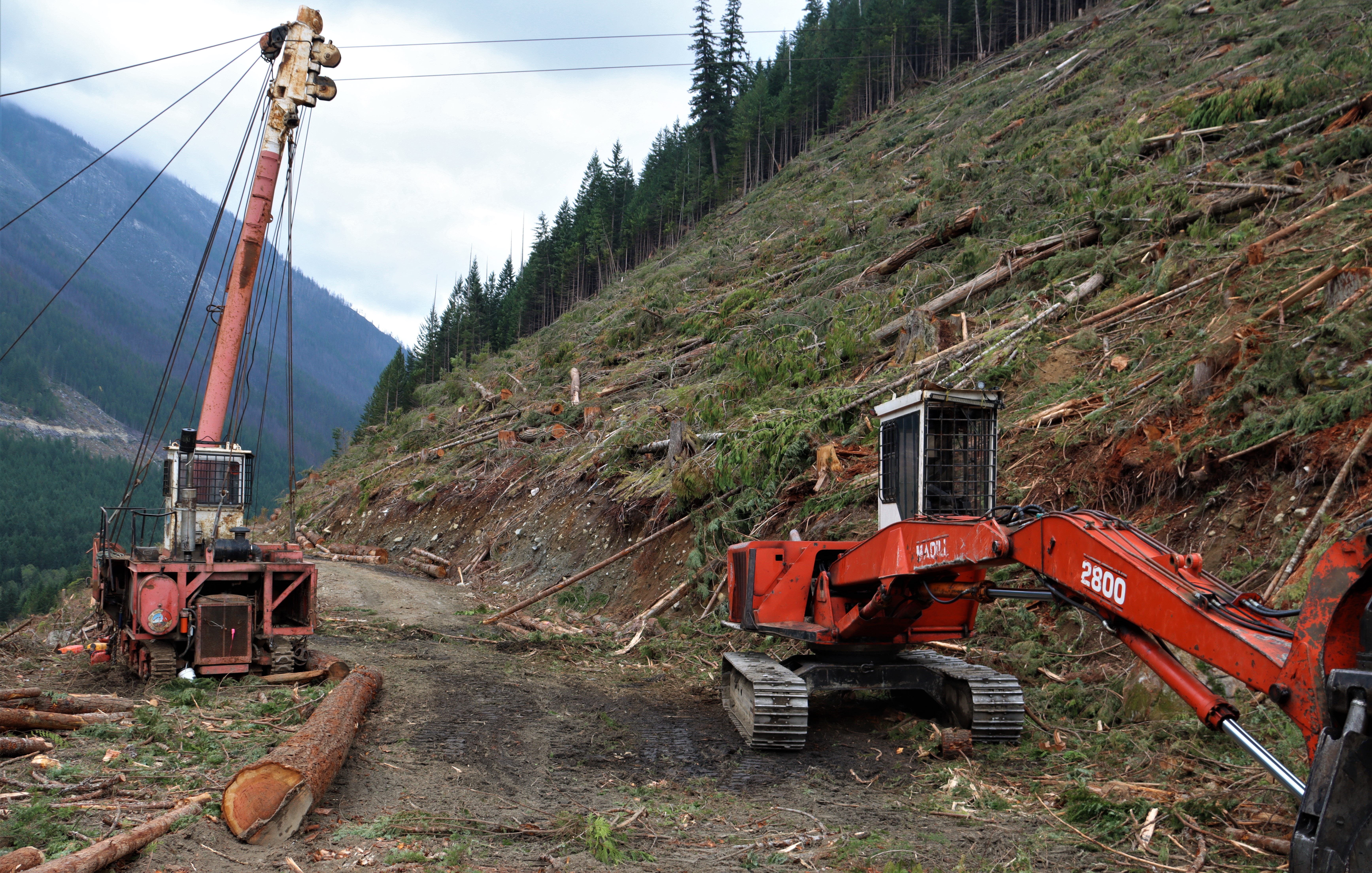 Photo bottom: clearcut spotted owl habitat in Spô’zêm Nation territory (WC files).