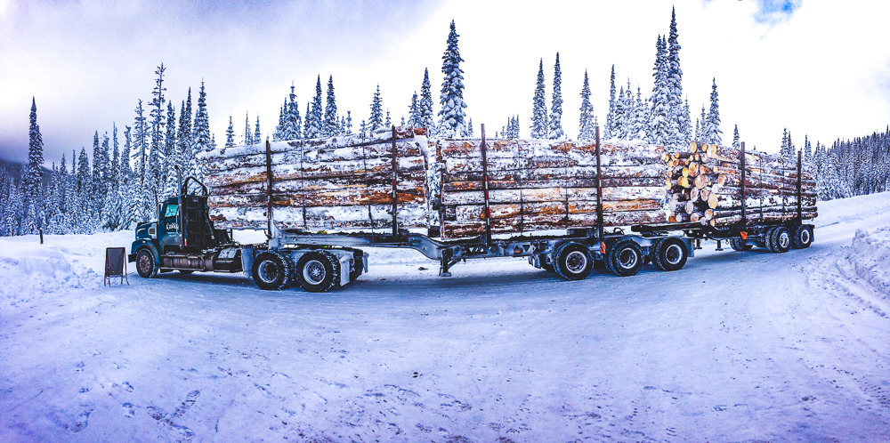 Old-growth caribou habitat on the back of a logging truck location east of Clearwater Valley