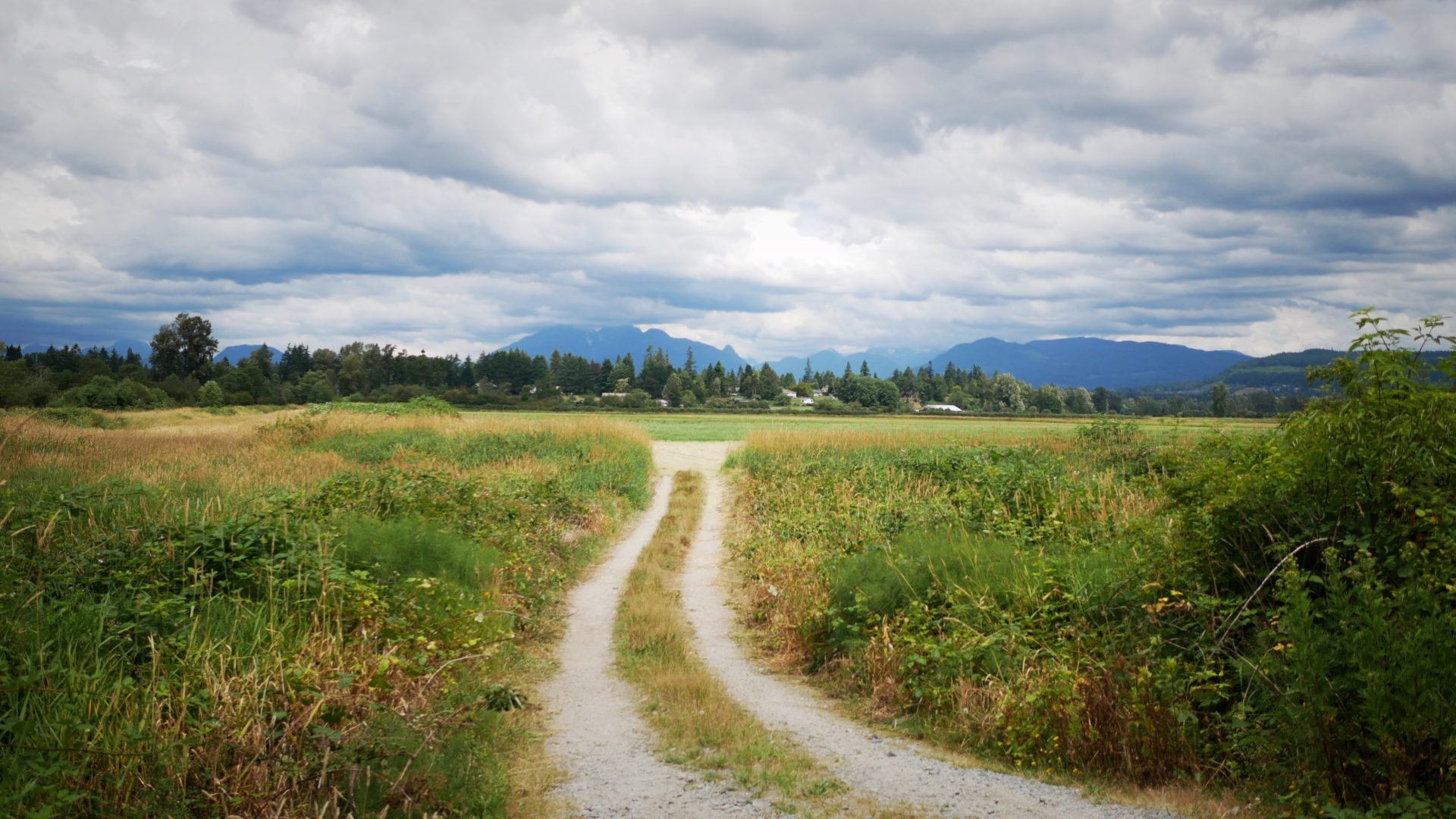 A pastoral scene near the captive breeding facility in Langley, B.C. Photo: Carol Linnitt / The Narwhal