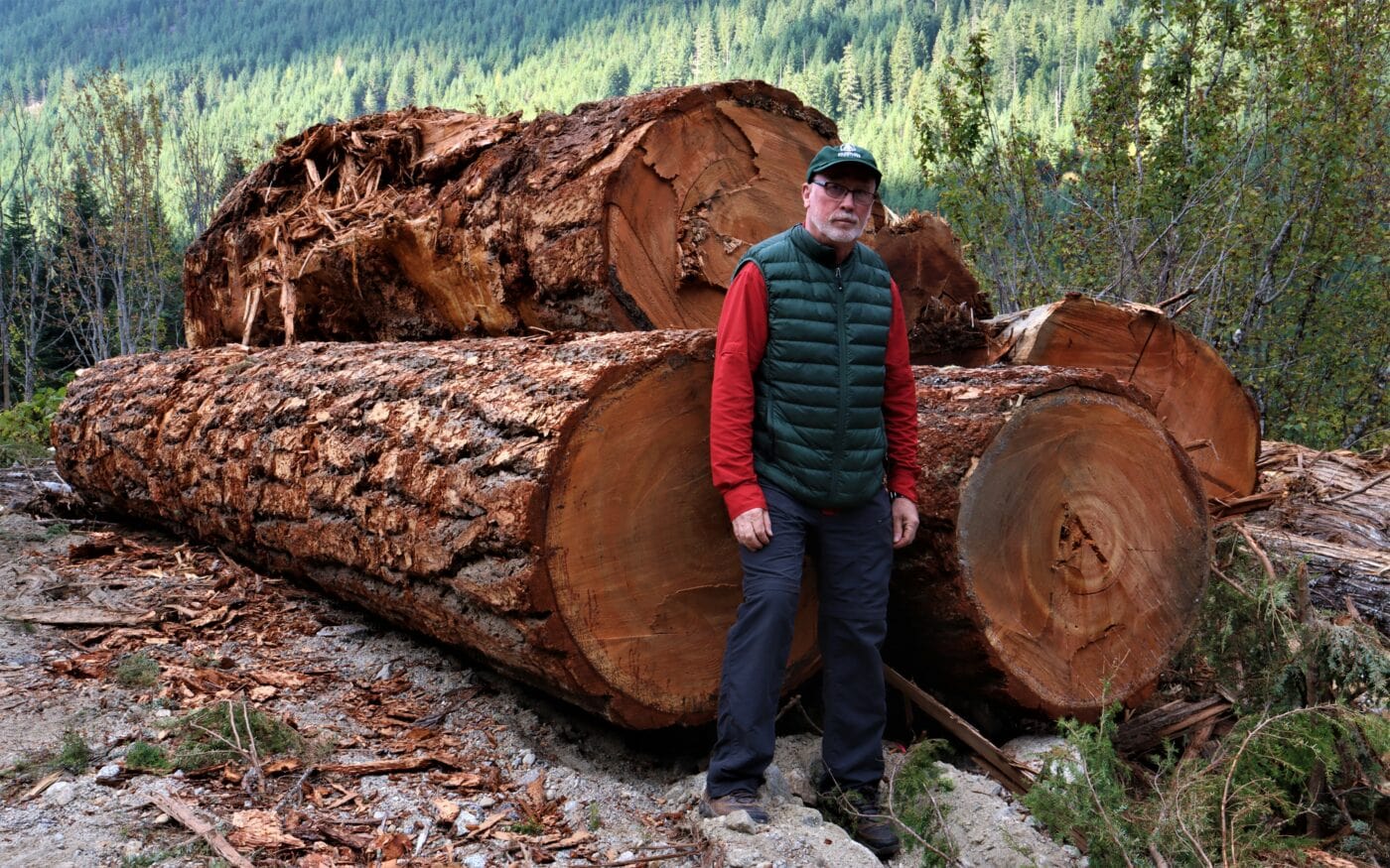 Joe Foy from the Wilderness Committee stands beside felled old-growth trees in the Spuzzum Valley, where B.C. government biologists discovered Canada’s last breeding pair of spotted owls in 2019. Wilderness Committee only found out about the owls in 2020. Photo: Wilderness Committee