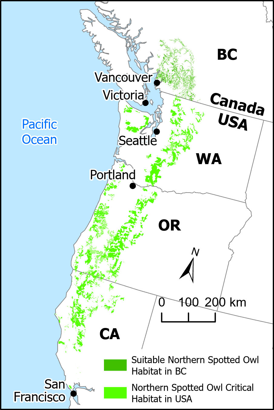 Spotted owl habitat in America