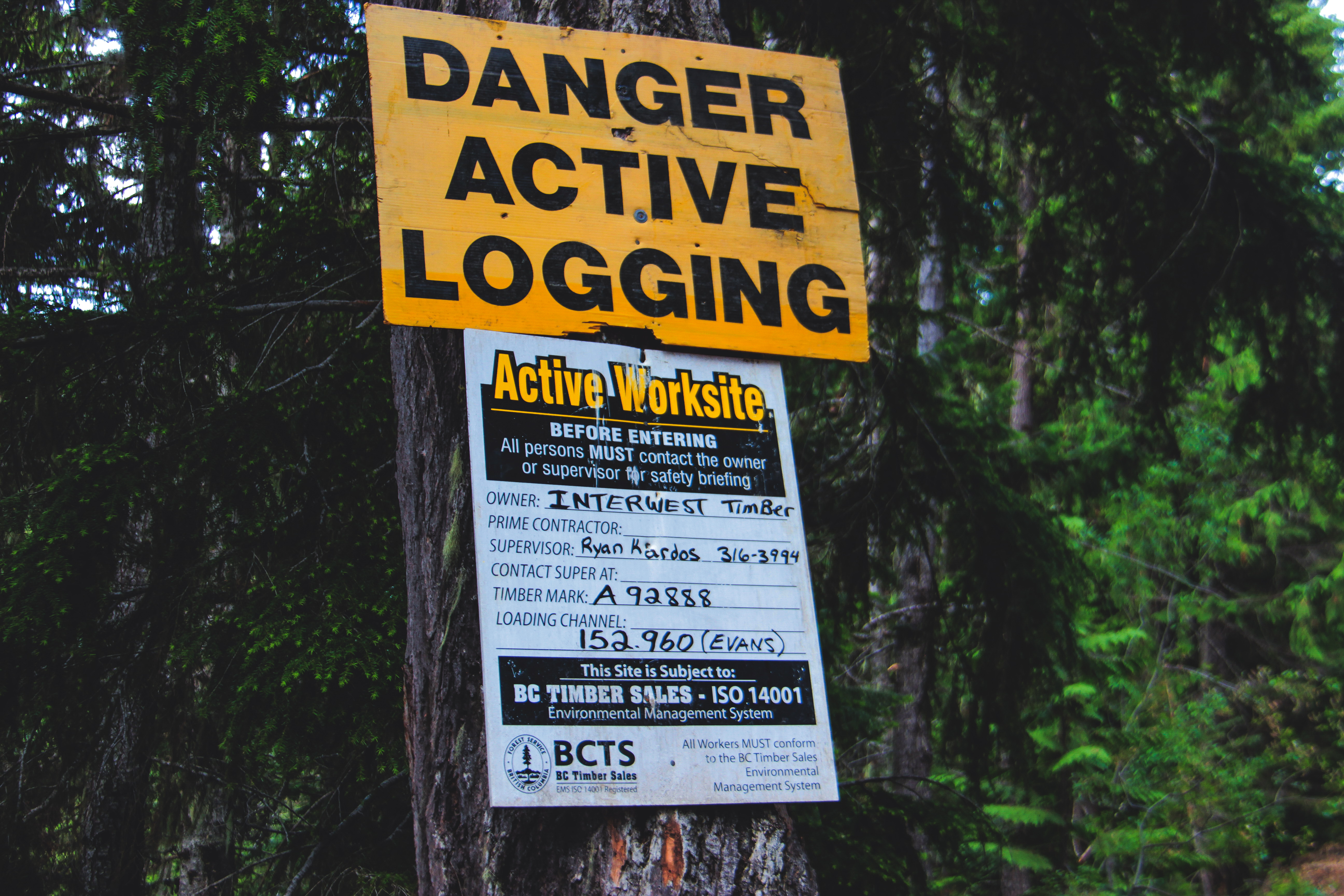 Logging road in the middle of Manning and Skagit Provincial Parks