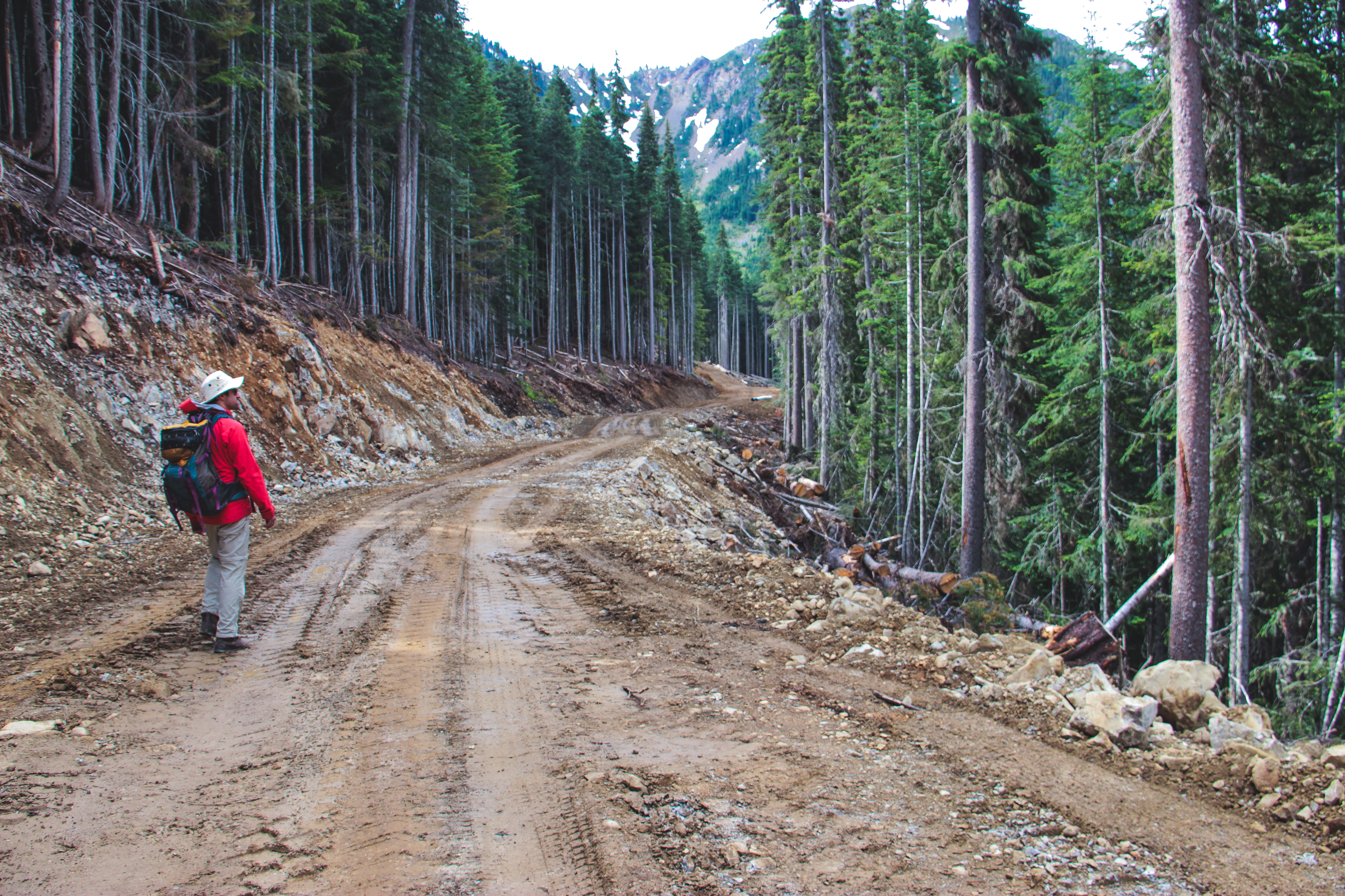 Geoff on the logging road in the Manning Park Donut Hole