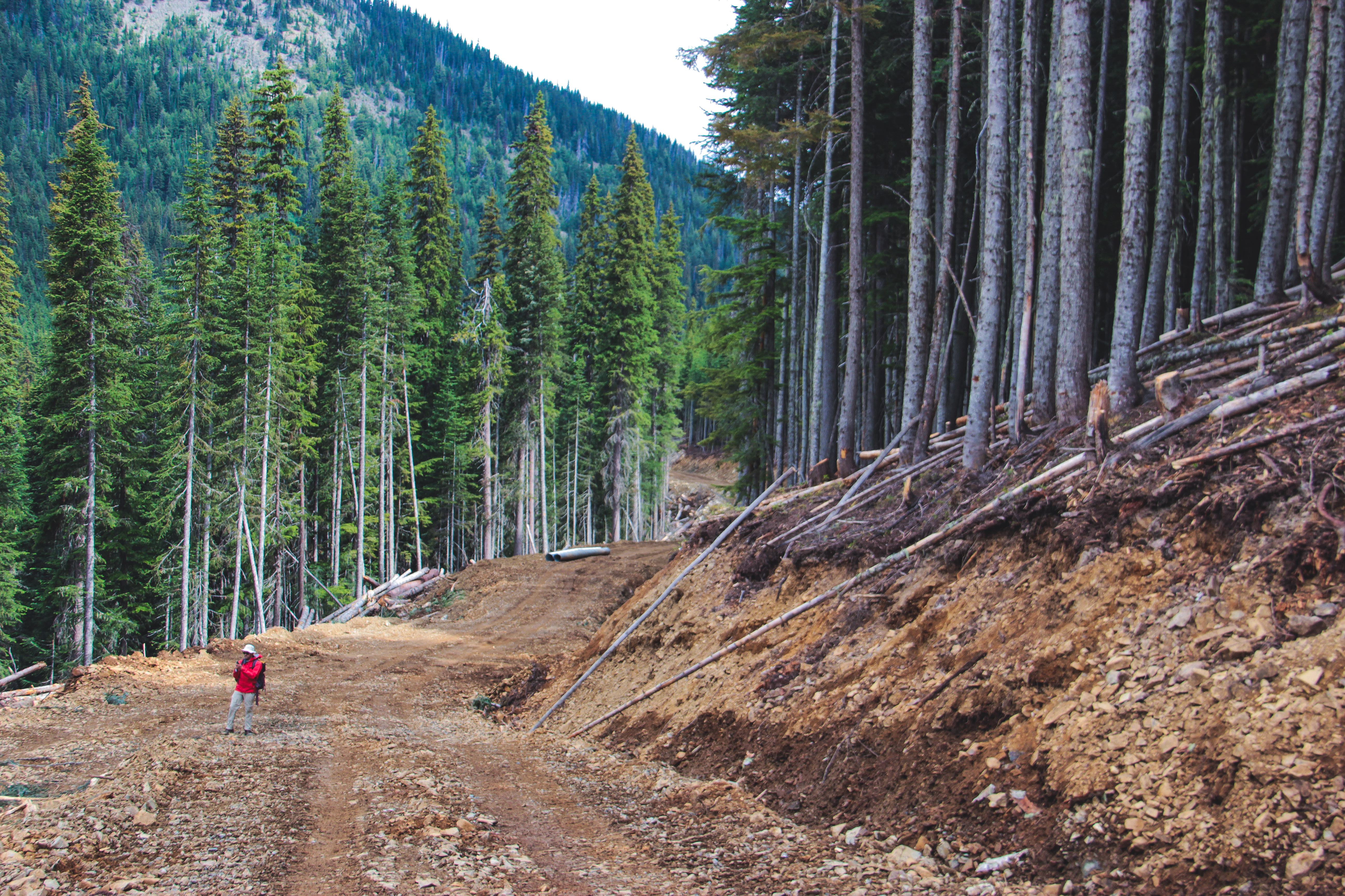 Manning Park Donut Hole loggin groad