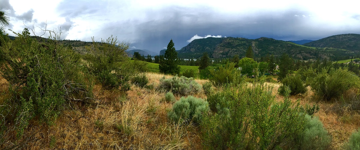 McIntyre Bluff, Okanagan, B.C. (Gwen Barlee).