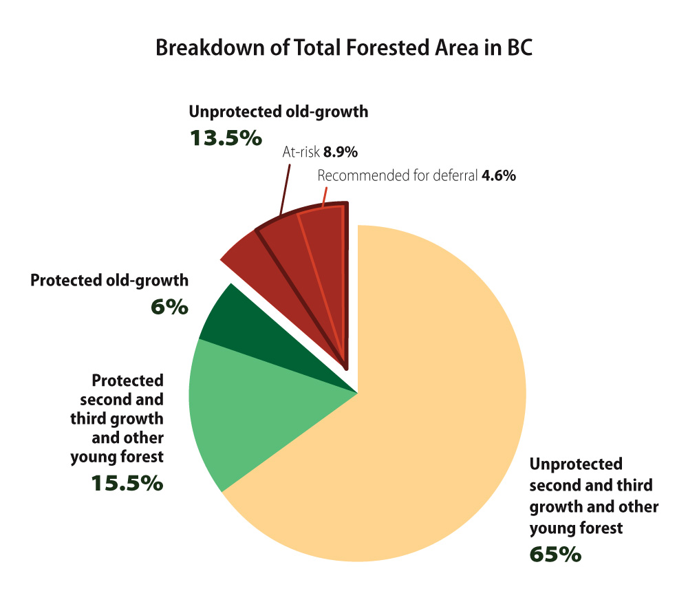 Breakdown of total forested area in BC