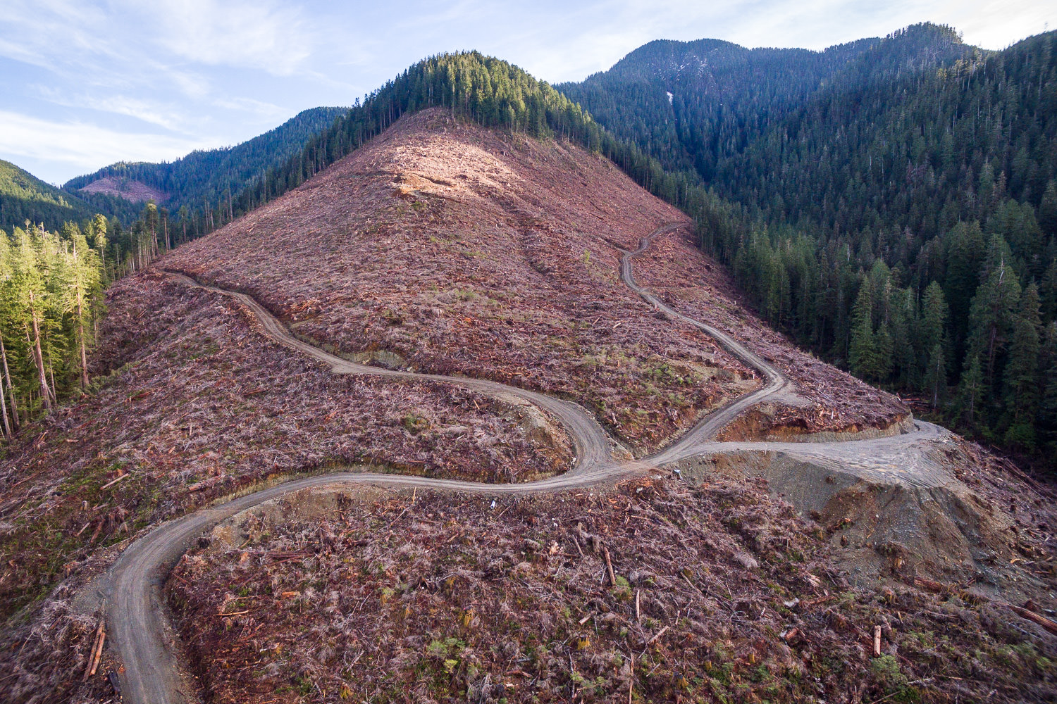 Nuchatlaht Territory, Nootka Island (WC files).