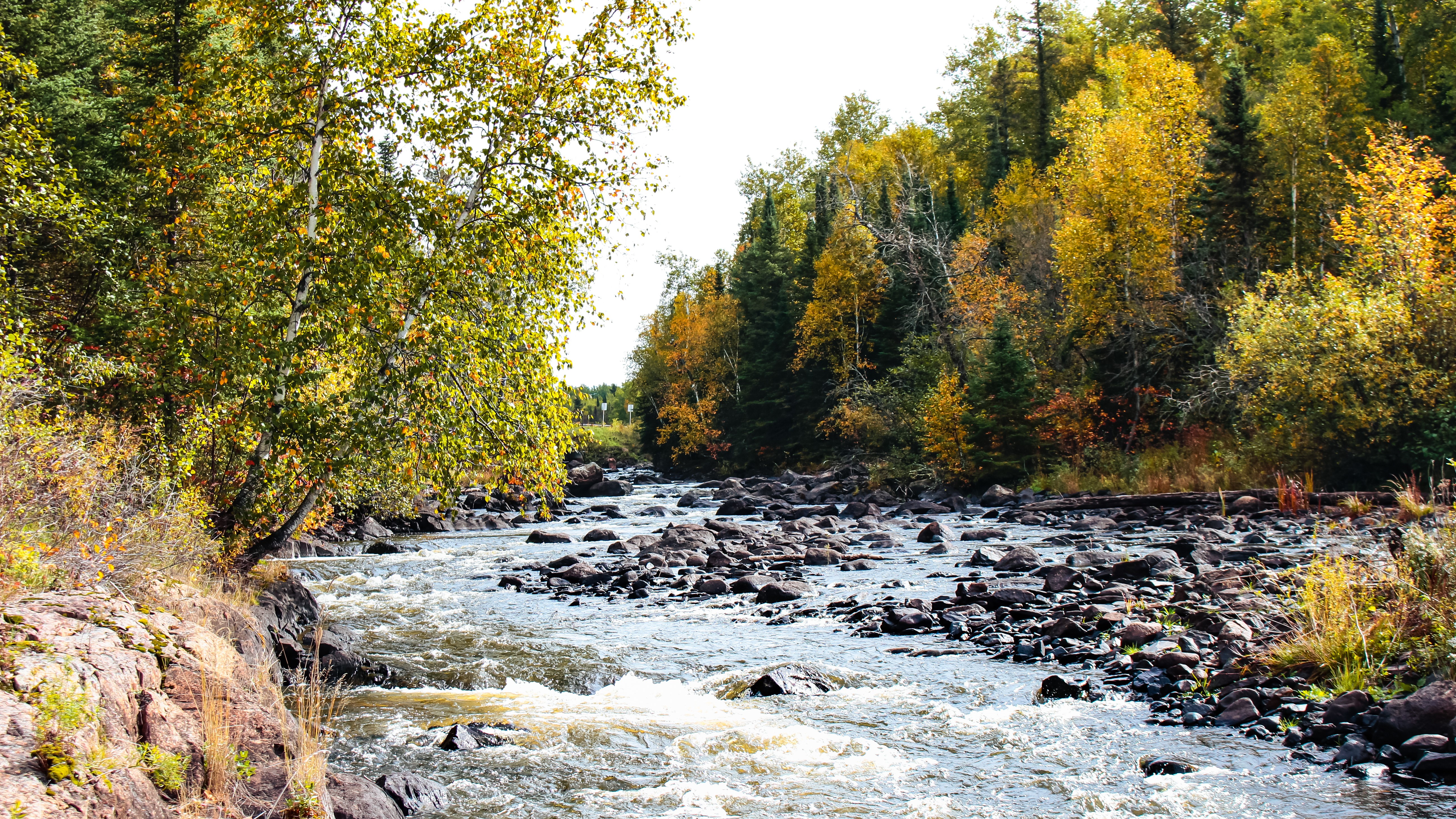 The lower bird river