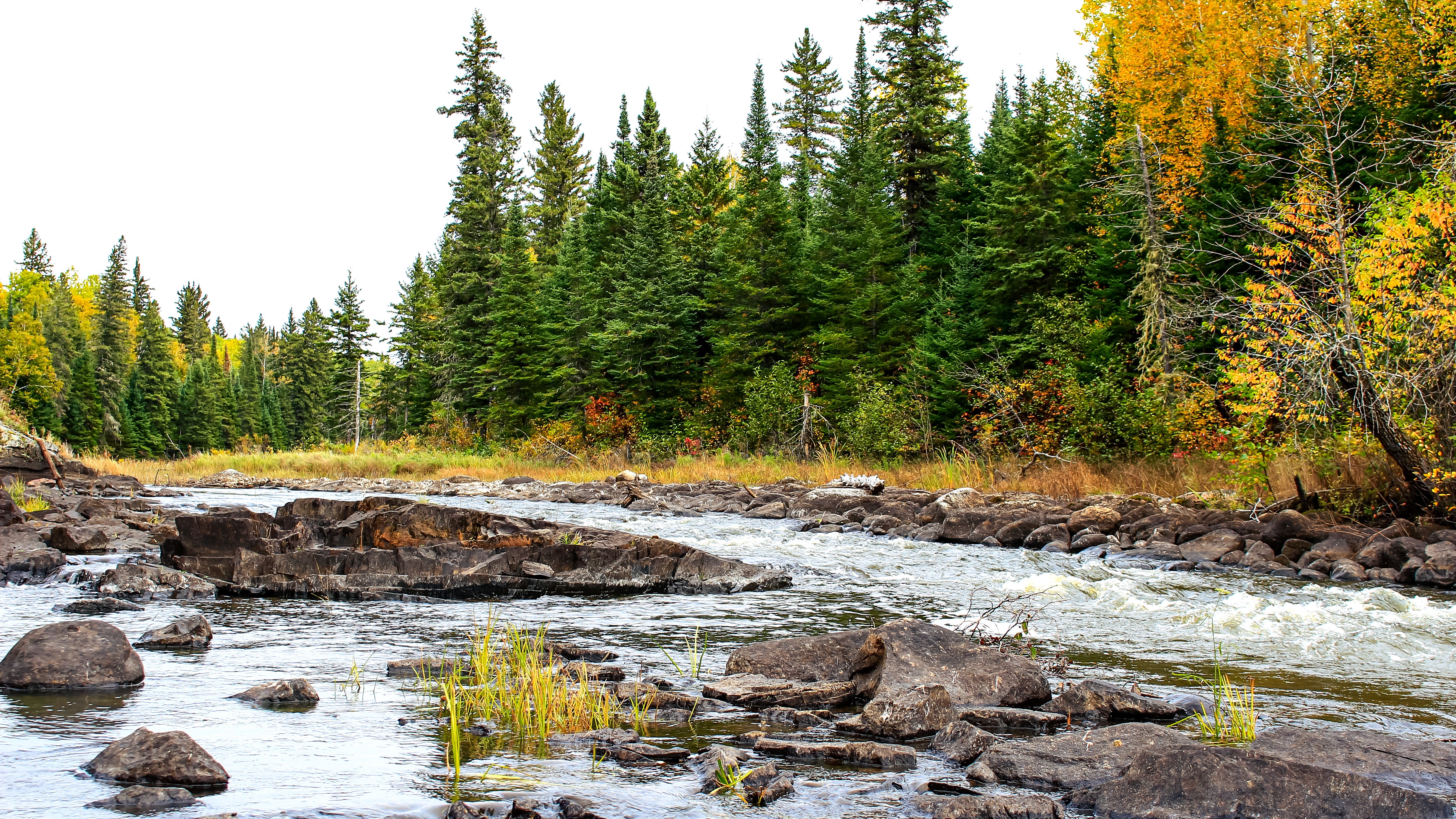 The lower bird river