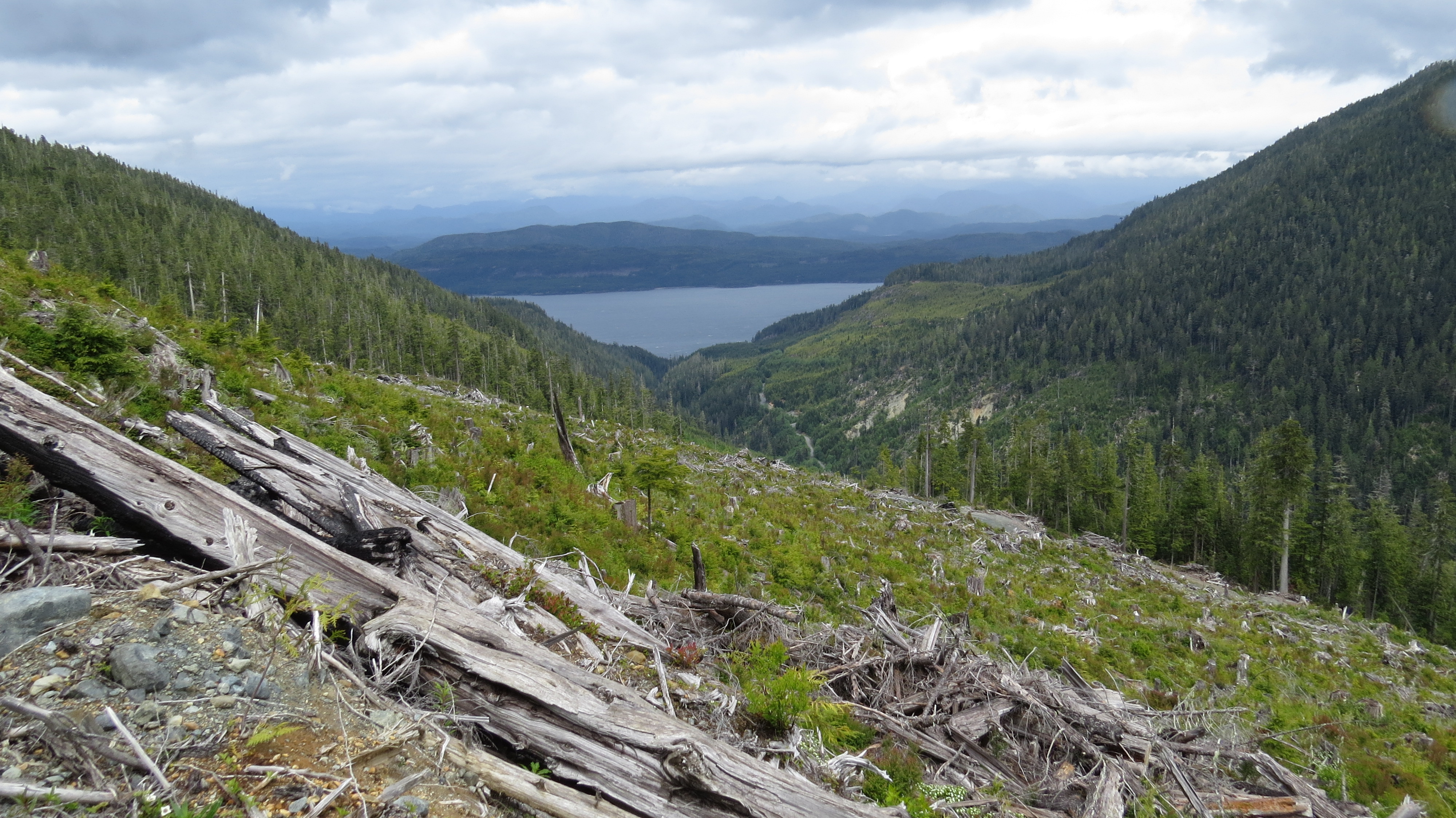 Previous clearcut logging in Schmidt Creek, with Johnstone Strait and Cracroft Island in the background